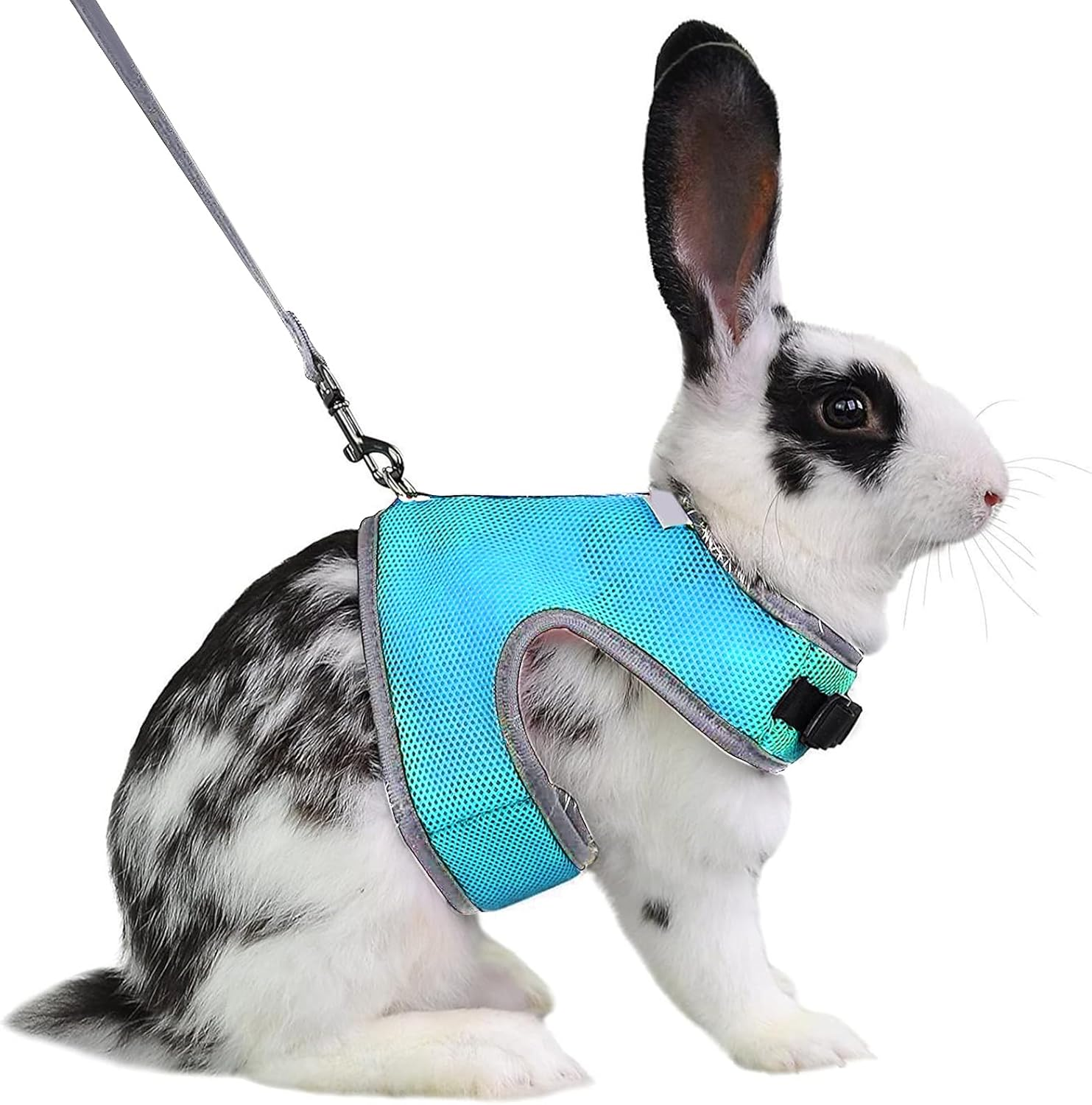 Dokeno Cat Harness, Cat Vest with Lead, Escape Proof Dog Harness, Pet Chest Strap, Universal Soft Harness, Rabbit Lead, Safety Harness for Kittens, Rabbits, Small Pets, Blue image number 2