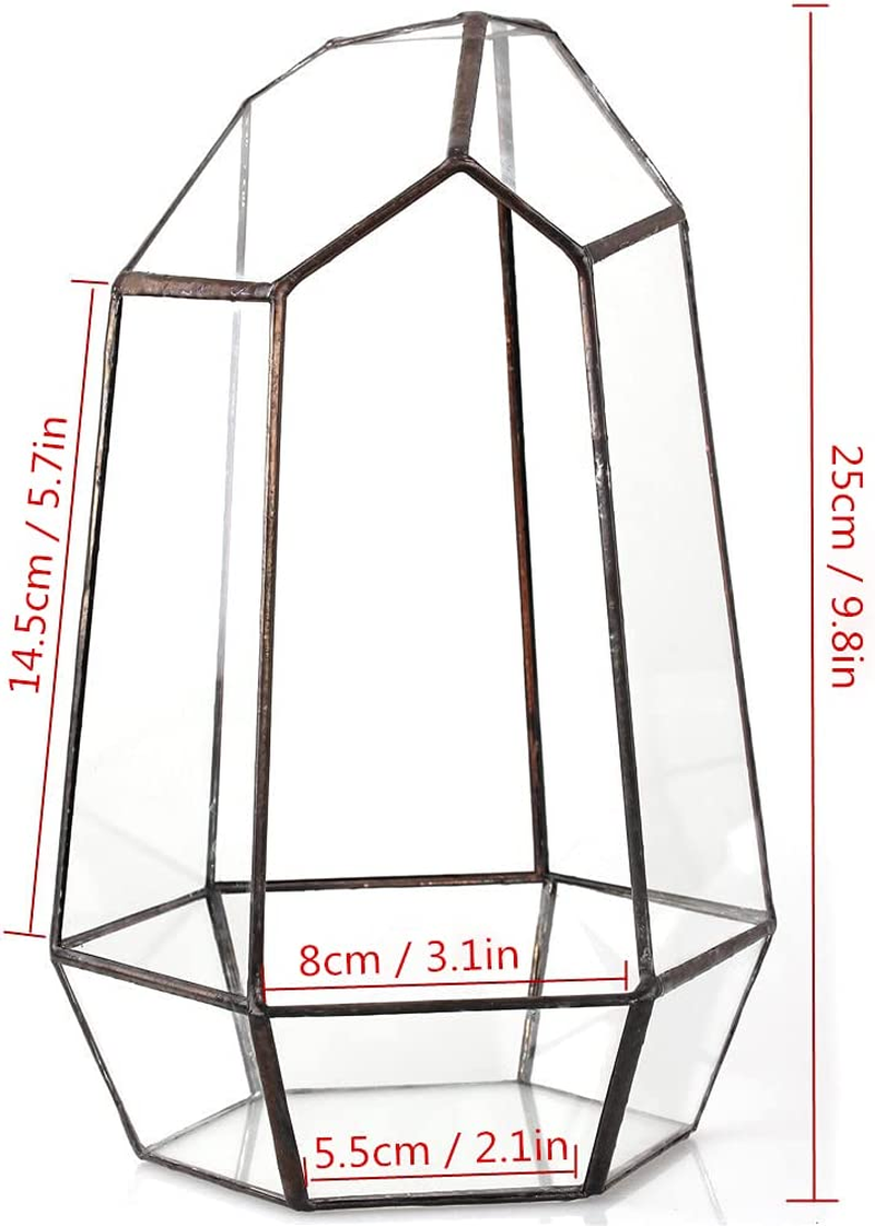 NCYP 25Cm Height Irregular Glass Geometric Terrarium Indoor Tabletop Air Plants Box Desktop Display Planter Succulent Holder Flower Pot Diy(No Plants,No Door) image number 5