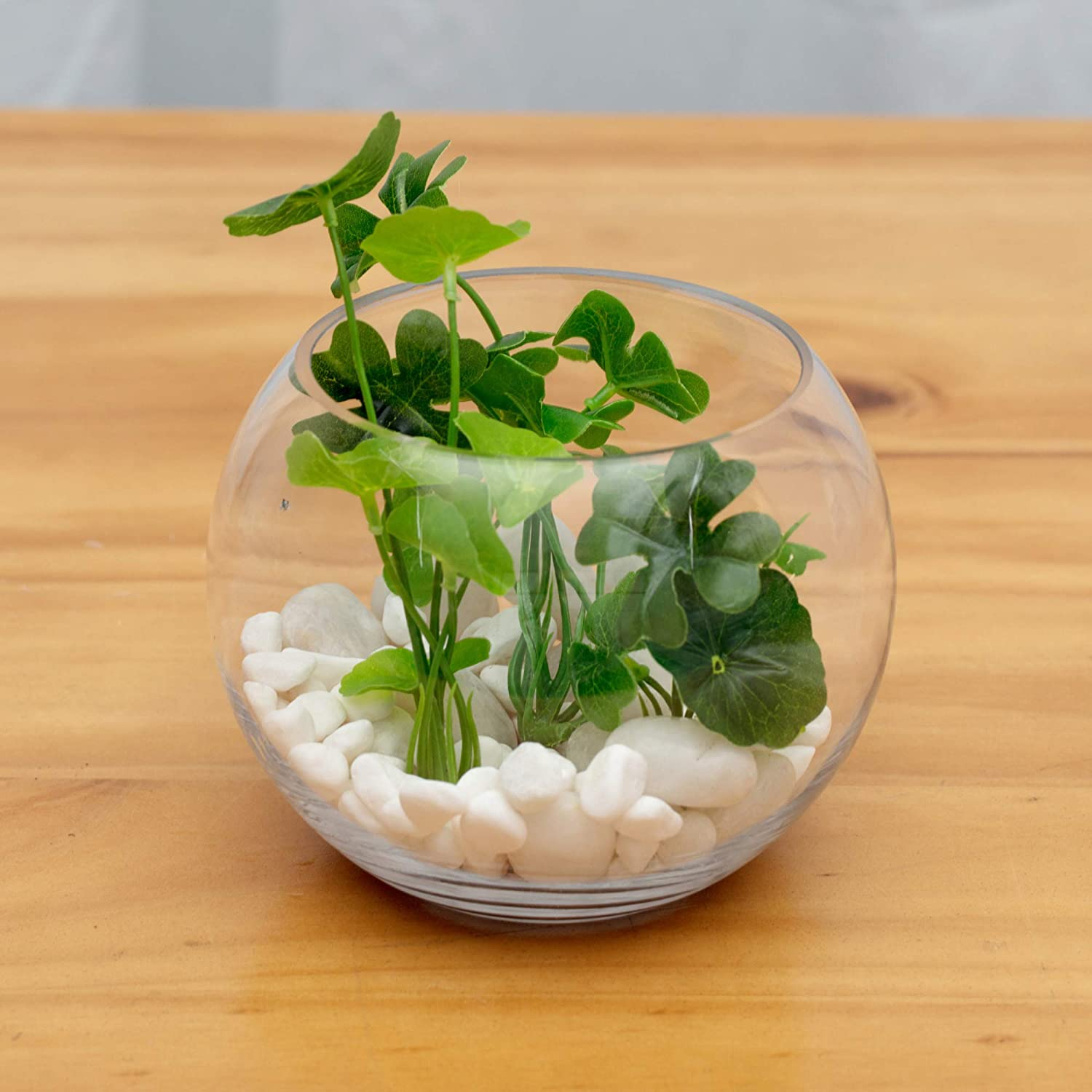 WGV Bowl Glass Vase, Diameter 8", Height 6", Open Width 5", (Multiple Sizes Choices) Clear Bubble Planter Terrarium Fish Bowl for Wedding Event Home Decor, 1 Piece (VBW0008A) - 6"D 1 Piece image number 5