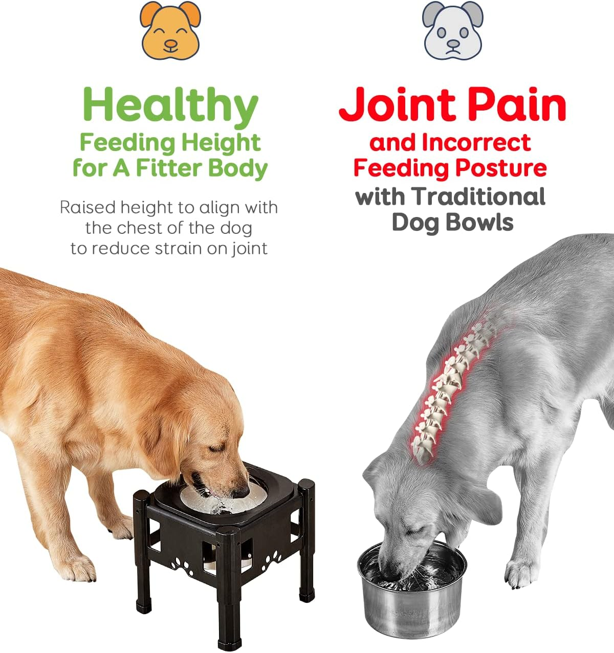 Pawque Elevated Dog Bowls, 80Oz Stainless Steel Water Feeder with 3 Adjustable Heights, Anti-Spill Design for Small to Medium Sized Dogs image number 2