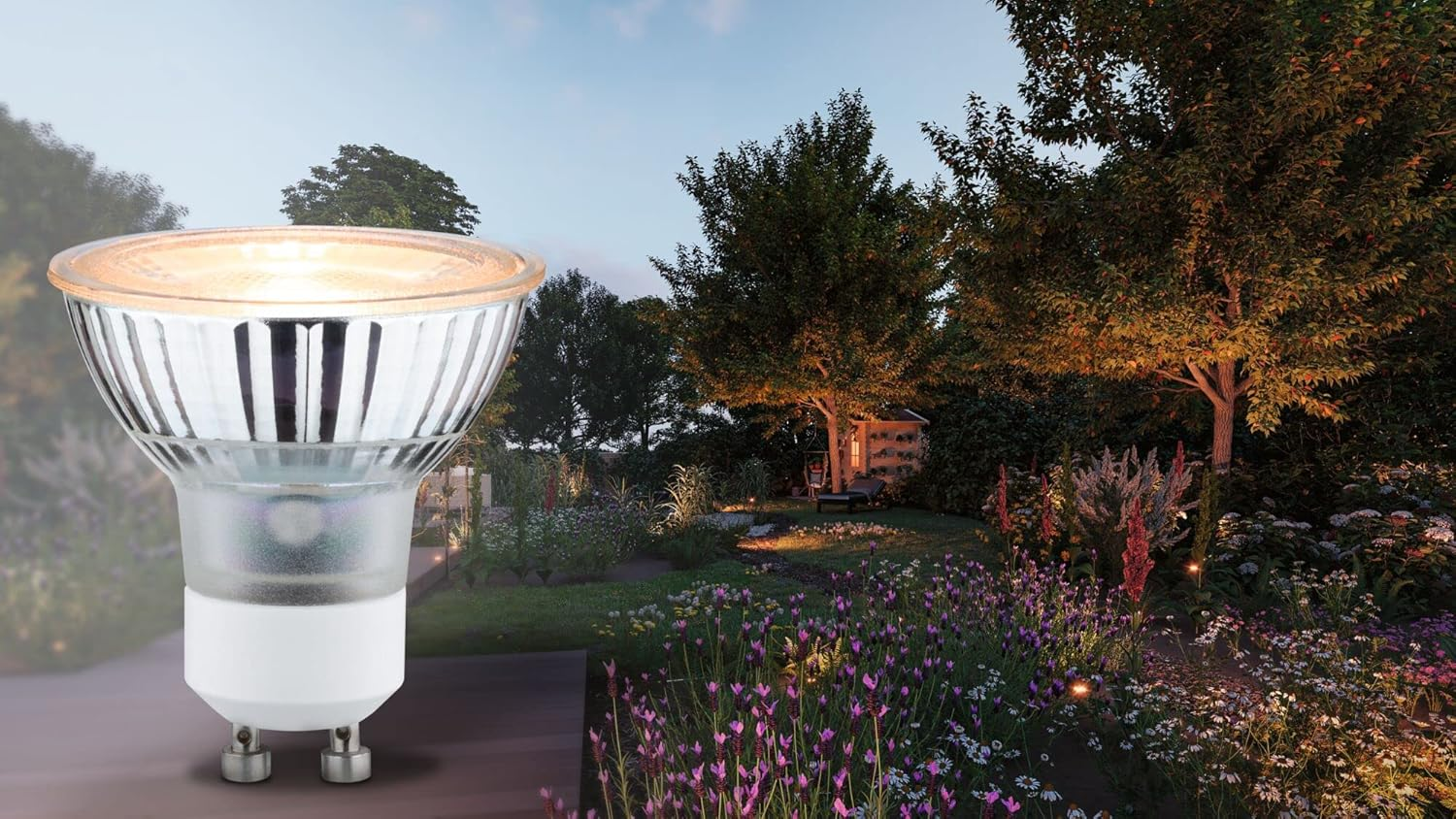 Paulmann 28972 LED Reflector Light Bulb Gold Light Insect Friendly GU10 230V 320Lm 4.3W 2200K Gold Light Bulb, Clear