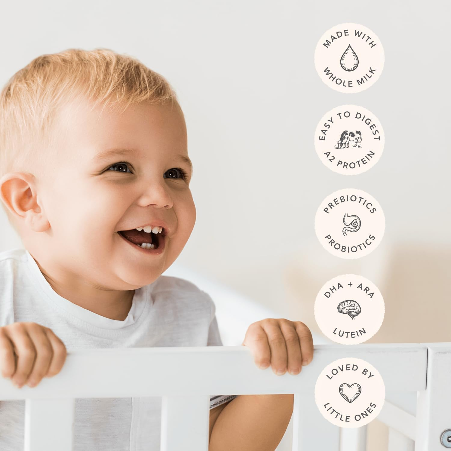 Haven A2 Cow Follow-On Formula, Stage 2 (6&ndash;12 Months), Made with Gentle New Zealand Grass-Fed Cow&rsquo;S Whole Milk, with Prebiotics, Probiotics, Palm Oil Free, GMO Free &ndash; 800G image number 5
