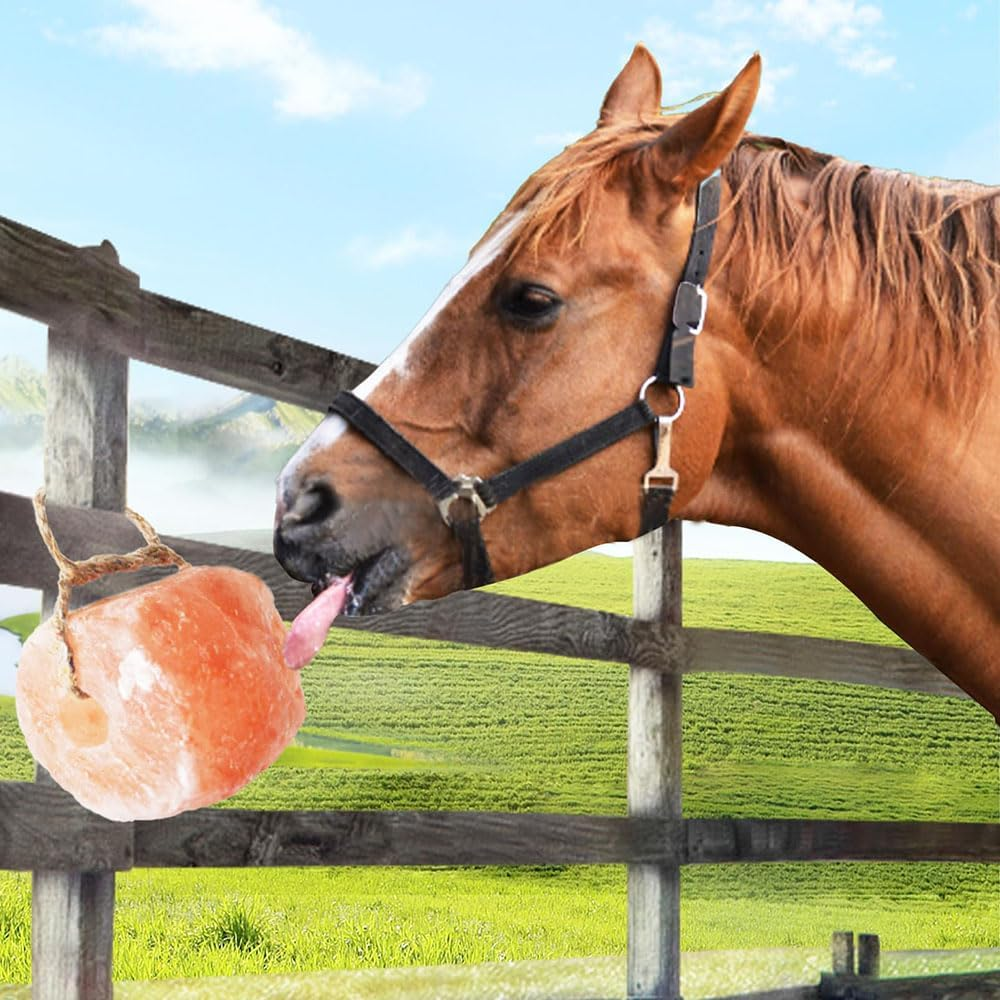Himalayan Salt Lick Salt Block on Rope for Horse Animals Mineral Salt Licks;Natural Mineral Salt Block for Horses,Cattles,Deer,Goat,Livestock Long Lasting Original Pink Salt Lick (2.4-4.4Lbs) image number 4