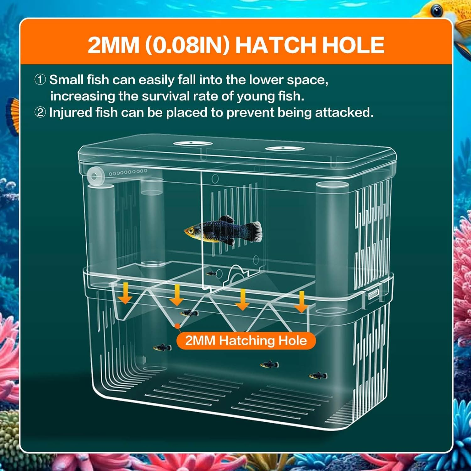 SUSOO Large 4 Hole Aquarium Fish Breeding Box, Safe 2Mm Baby Fish Hatchery Box with Removable Double Isolation Divider Hatching, Dual Feeding Holes and Extra Aeration Pipe Design（18.5Cmx9Cmx15.5Cm）