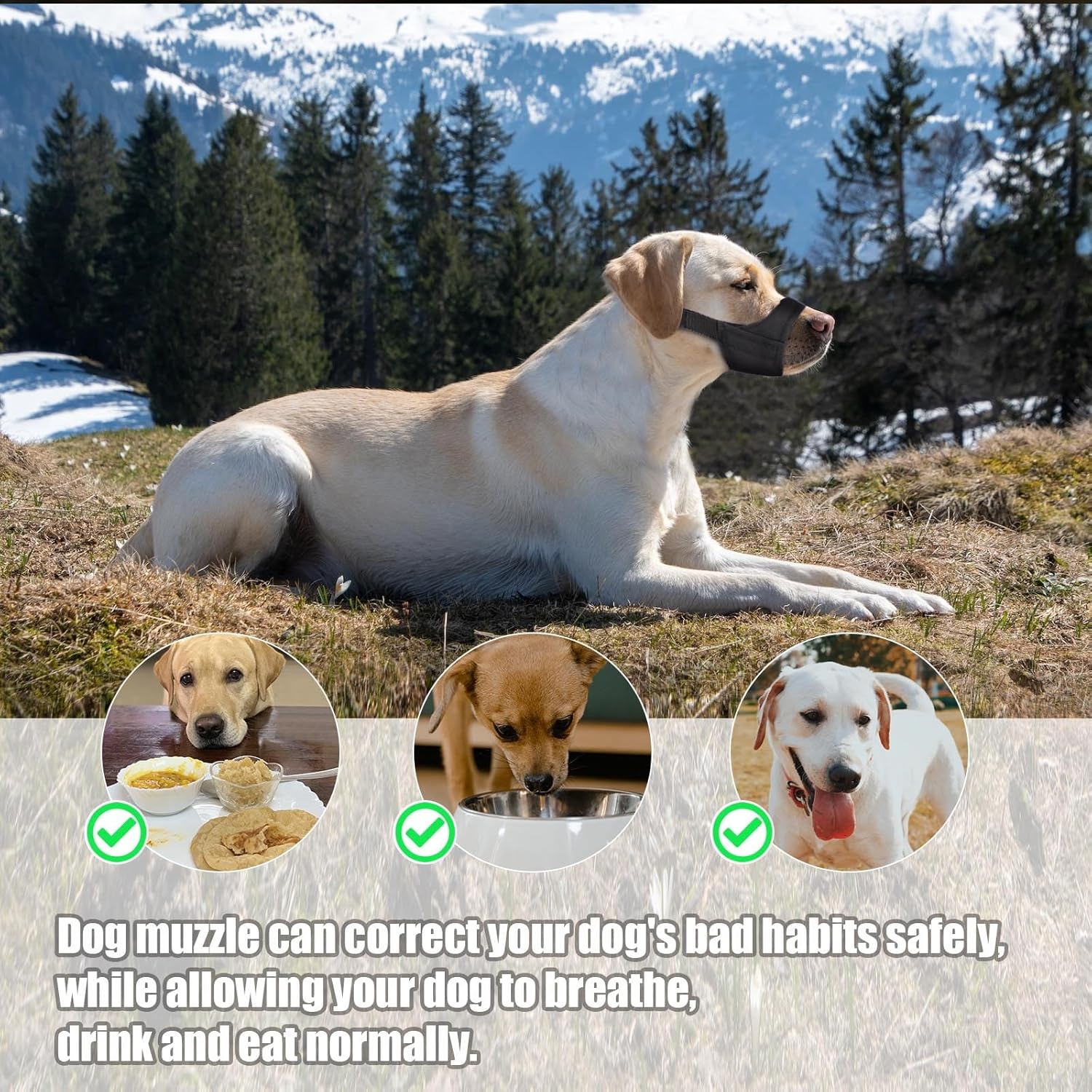 Short Snout Dog Muzzle, Adjustable Dog Mouth Guard, Soft Pet Safe Dog Muzzle anti Biting Barking, Muzzle for Dogs Snout Circumference 7-8.25 image number 6