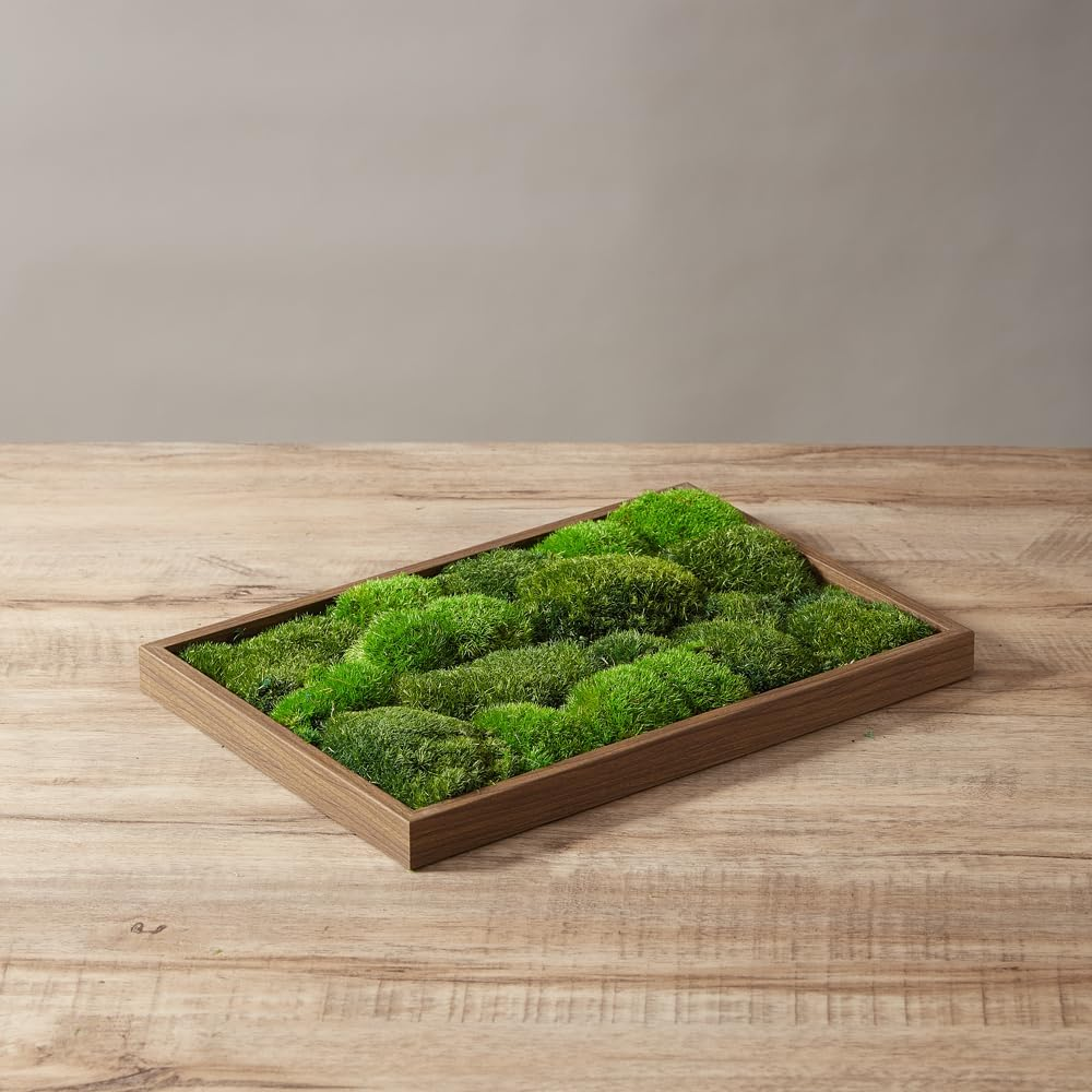 Prefleur 2 Color Mix Pack Preserved Pole Moss Pillow Bun Cushion Natural DIY Kit Art Wall Decor Florist Easter Table Wedding (1.5 Sq.Ft, Green-A, Green-B) image number 6