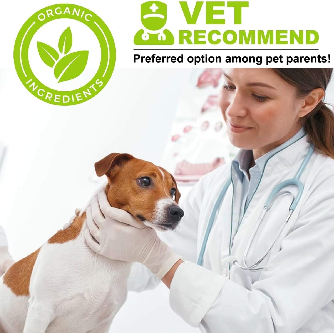 Milk Thistle for Dogs &ndash; Liver & Kidney Support Supplement with Curcumin, Salmon Oil, Omega-3 EPA & DHA &ndash; Organic Liquid Drops for Detox, Immune Health &ndash; 60Ml image number 6