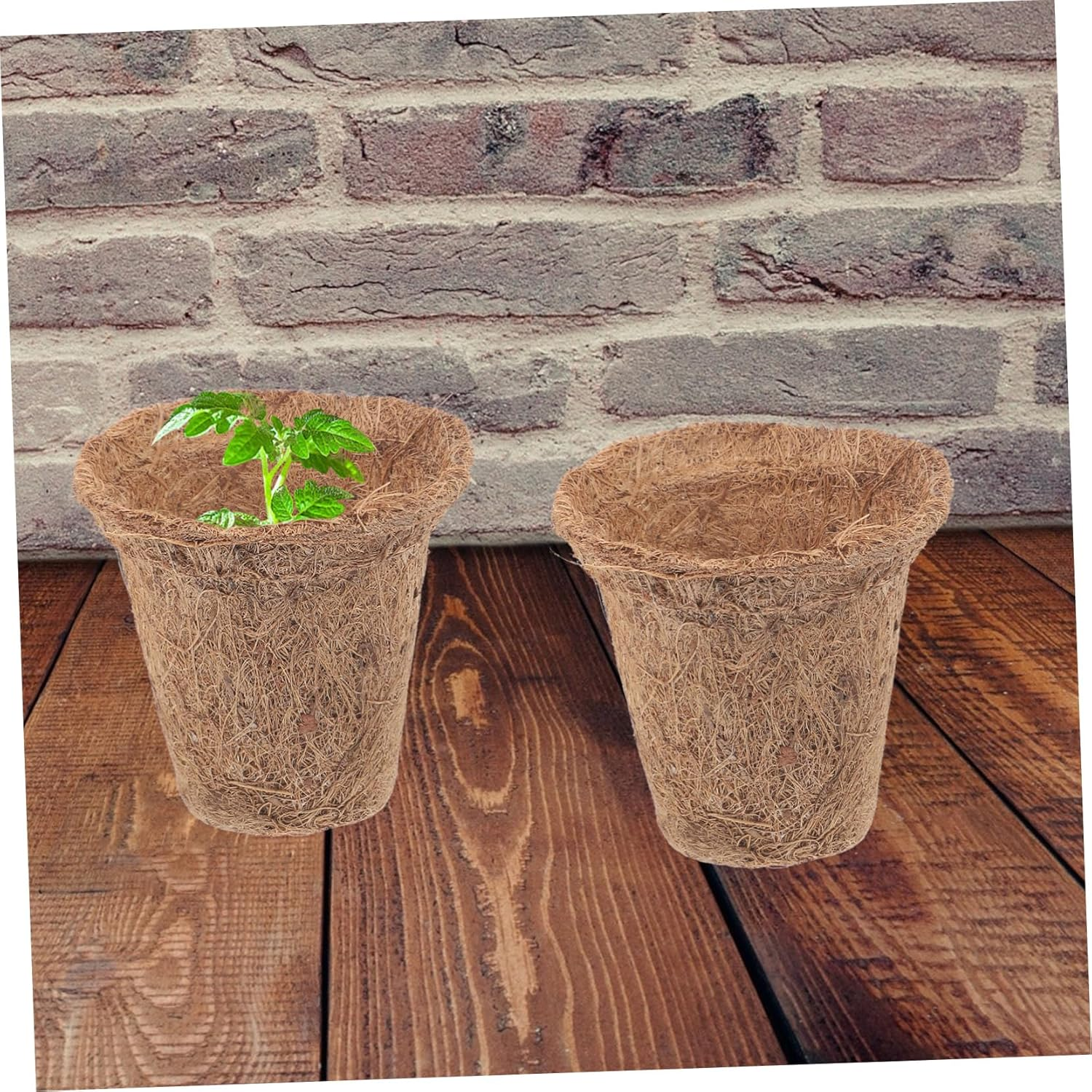 Sosoport Plant Starter Pots 35Pcs Nursery Pots for Direct Planting Germination Growing Pots Fiber for Home Gardening image number 5