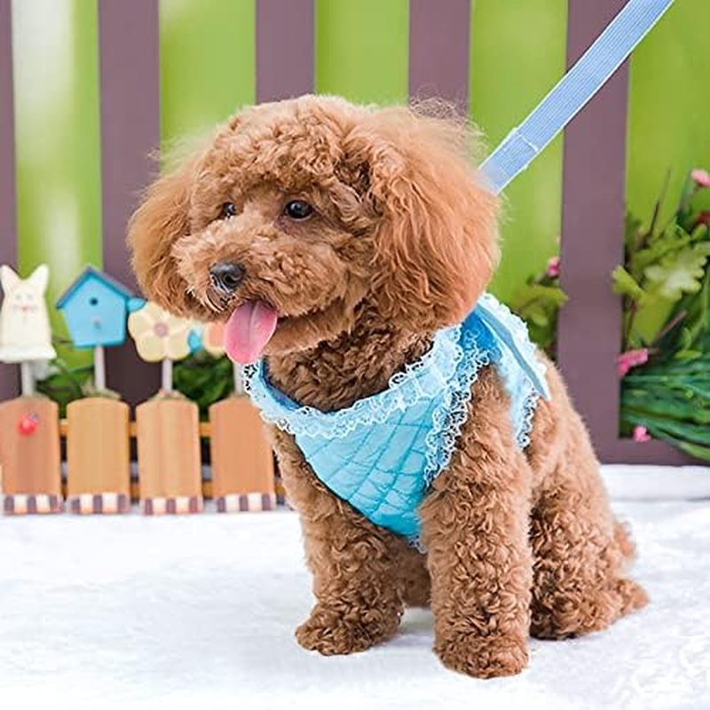 Kalevel Dog Harness for Dogs No Pull No Escape Female Male Comfortable Cute Blue Lace Angel Wings Leash Clip Pet Vest Harnesses image number 2