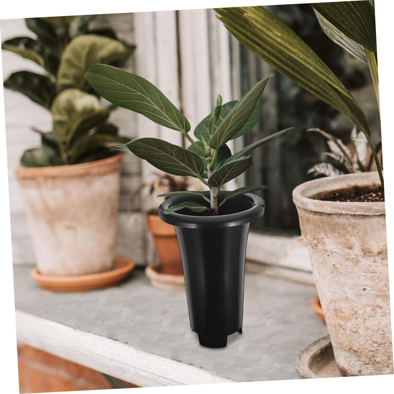 10Pcs Large Pots Set Extra Tall Breathable Plastic Drainage Suitable for Indoor and Outdoor Gardening 159Mm Top Diameter X 249Mm Height image number 4