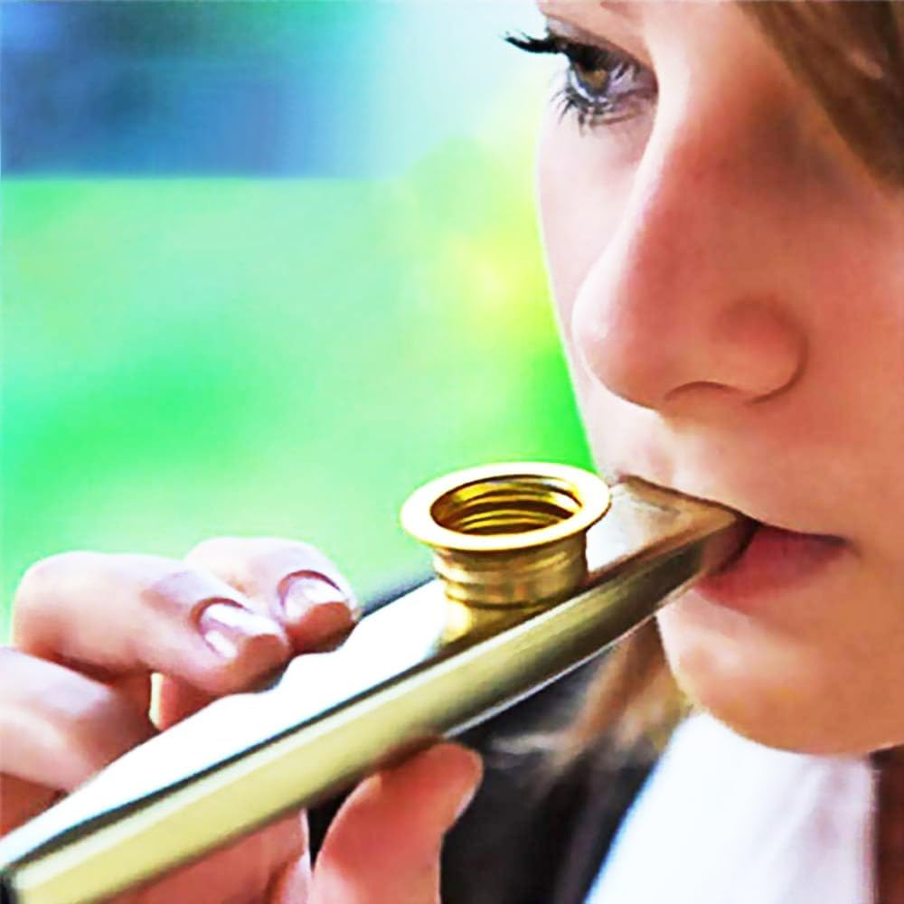 Top Harmonica with 10 Holes Blues Diatonic and Kazoo Musical Instruments with 5 Flute Diaphragm,Mouth Harmonica Organ Key of C for Kids,Students,Beginners, Professional