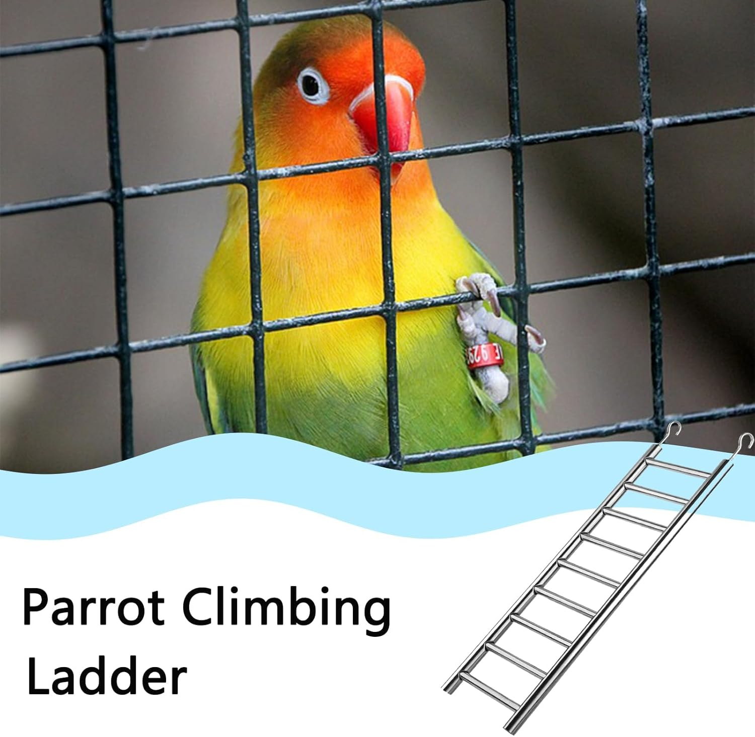 2Pack Stainless Steel Bird Ladders 9-Step Parrot Ladder Hanging Bird Cage Climbing Toys with Hooks Birds Exercise Toy for Parakeets, Parrots, Cockatoo，Rust-Resistant and Easy to Clean image number 3
