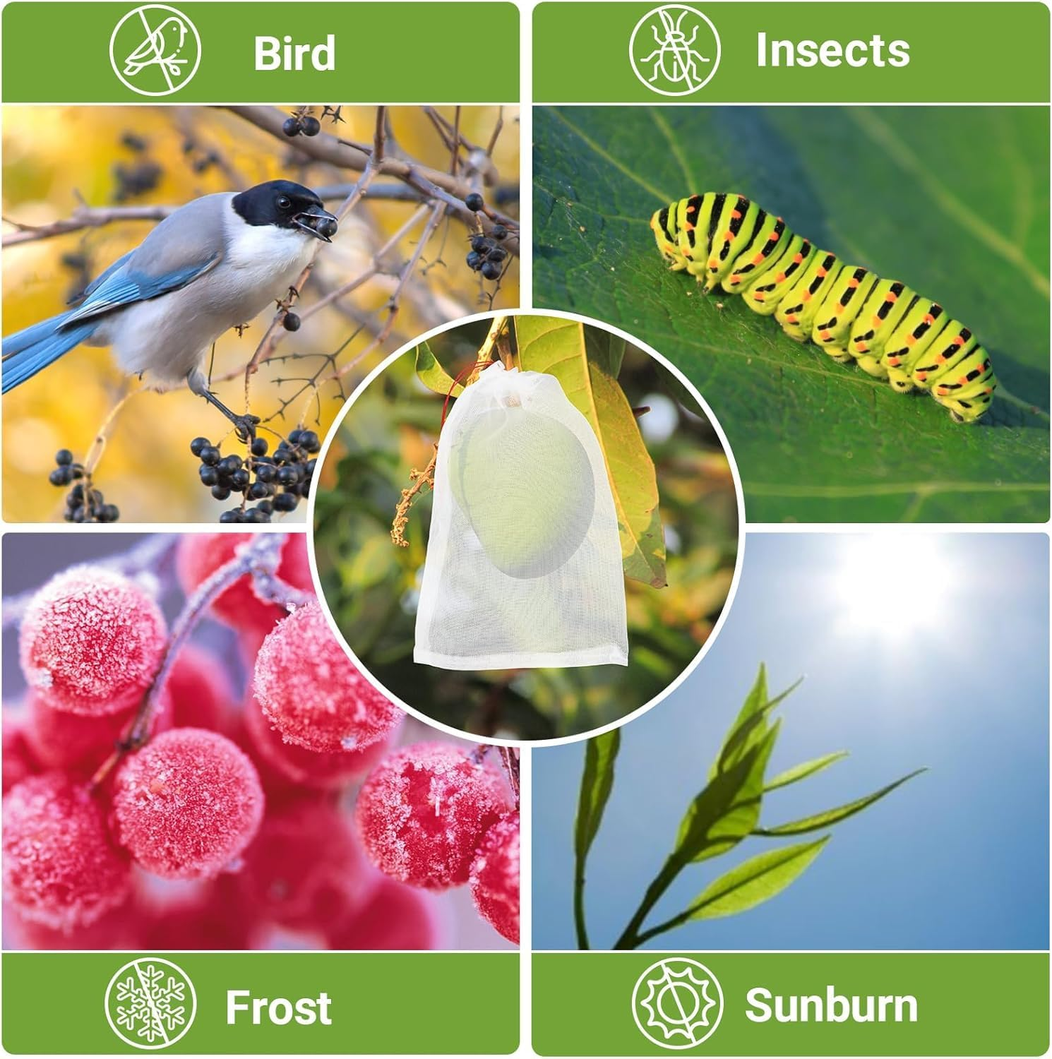 50Pcs Fruit Protect Bags，Reusable Protection Bags Net for Plant/Fruit/Flower(White, 15 * 25Cm) image number 1