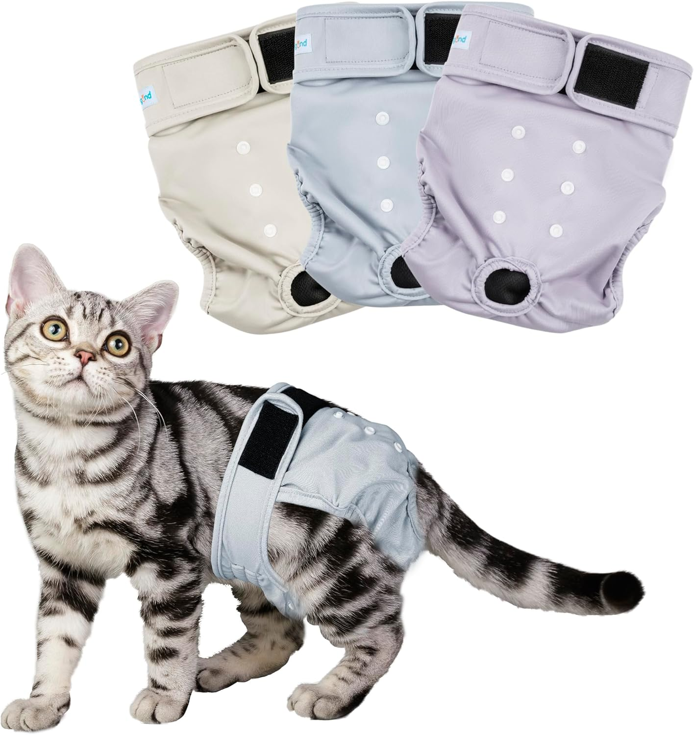 Paw Legend Cat Diapers for Female Cats Spraying Washable Reusable Kitten Diapers for Cats Incontinence Pet Diapers (3 Pack, Medium)