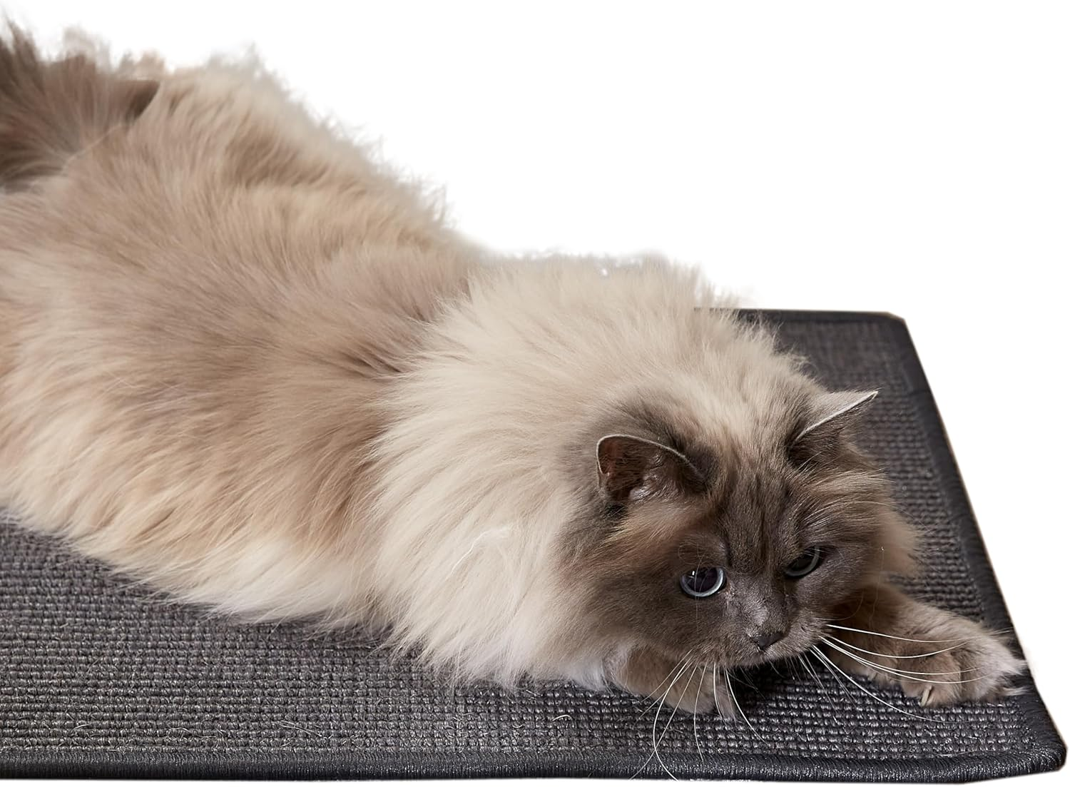 Scratching Mat for Cats - Doormat Sisal Scratching Mat - Natural Sisal Mat Robust - Mat Made of 100% Sisal - Cat Scratching Mat Anthracite 30 X 40 Cm
