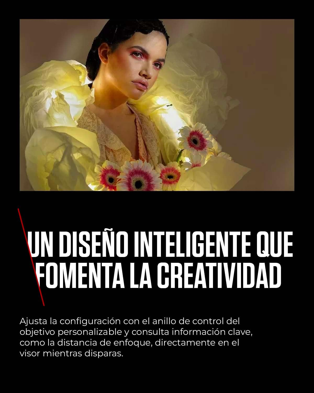 Canon RF 35Mm F1.8 Is Macro Lens - AU Version image number 6