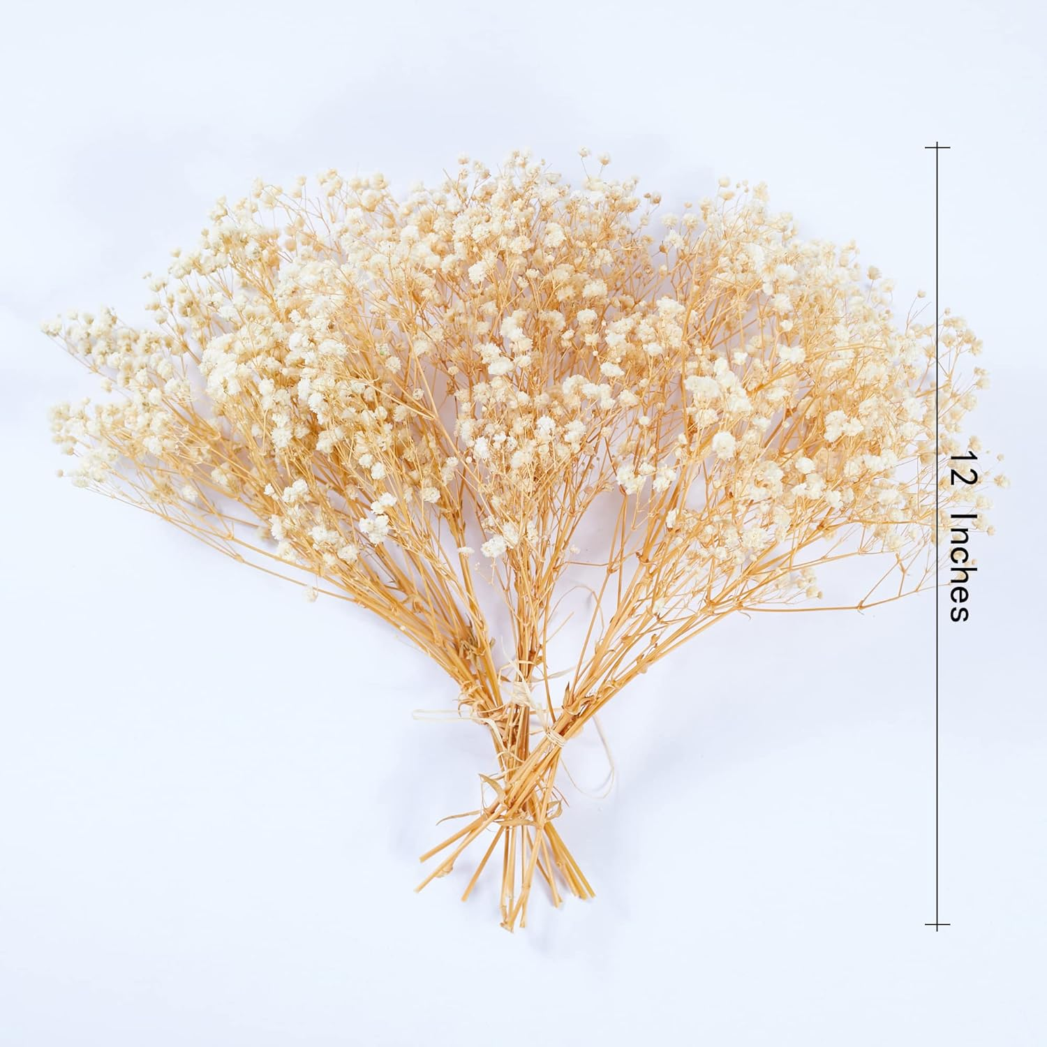 Preserved Baby'S Breath 3 Bunches, 100% Natrual Fresh Gypsophila Long Lasting Flowers for Vase Arrangements Home Decoration Photo Props Parties and Weddings, DIY D&eacute;cor-White - Blue image number 2