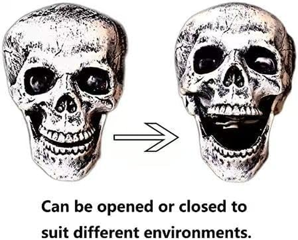 Plastic Skeleton Arms with Stakes and Skull for Halloween Decorations Outdoor, 5-Piece Decorative Props with Realistic Skull & Arm Stakes for Spooky Yard/Garden Decor image number 3