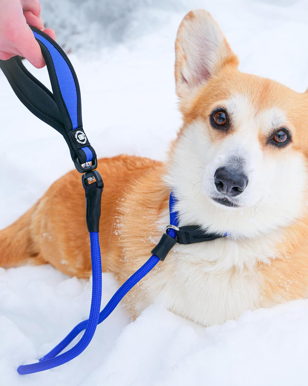 Bullybillows Anti-Pull Anti-Choking Training Dog Lead | 1.4M Active Light Dog Lead Designed with Graded Materials | Suitable for Strong Dogs | Suitable for All Dog Breeds | Khaki - Light Military Tan image number 5