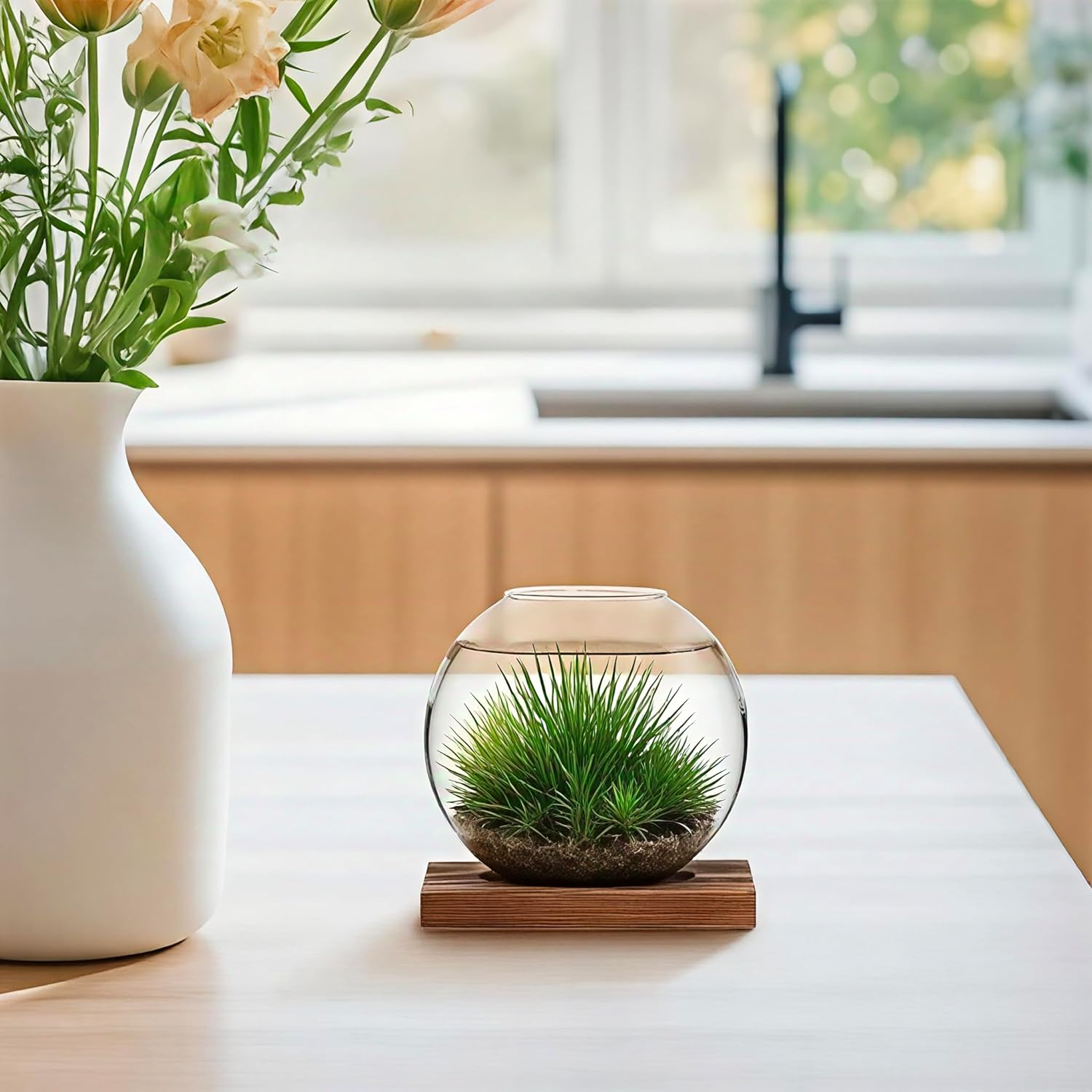 Desktop round Glass Planter Propagation Stations - Propagation Vases Plant Terrarium Propagation Jars with Wooden Stand for Propagation Hydroponic Water Plants Home Office Decor,2 Pack,Brown image number 2