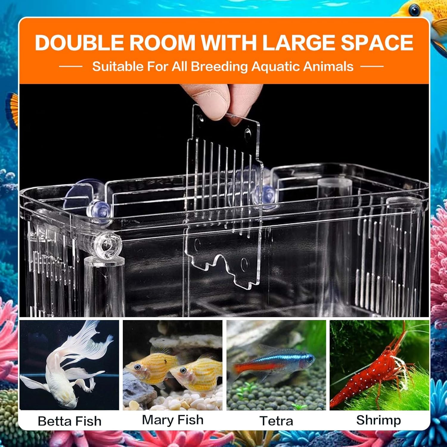 SUSOO Large 4 Hole Aquarium Fish Breeding Box, Safe 2Mm Baby Fish Hatchery Box with Removable Double Isolation Divider Hatching, Dual Feeding Holes and Extra Aeration Pipe Design（18.5Cmx9Cmx15.5Cm） image number 3