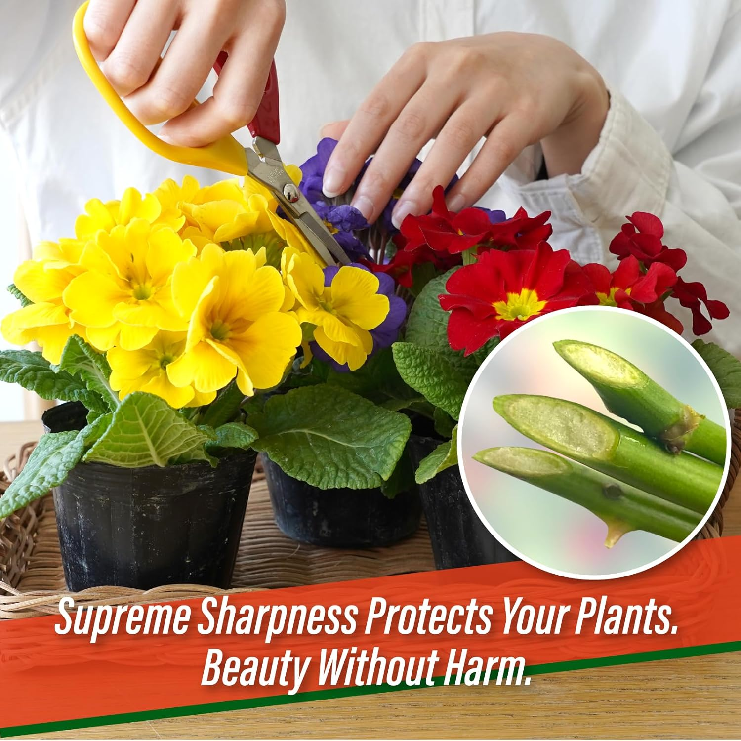 SUIZAN Trimming Scissors 155Mm - Professional Japanese Garden Plant Herb Buds Flower Shears Gardening Tools image number 4