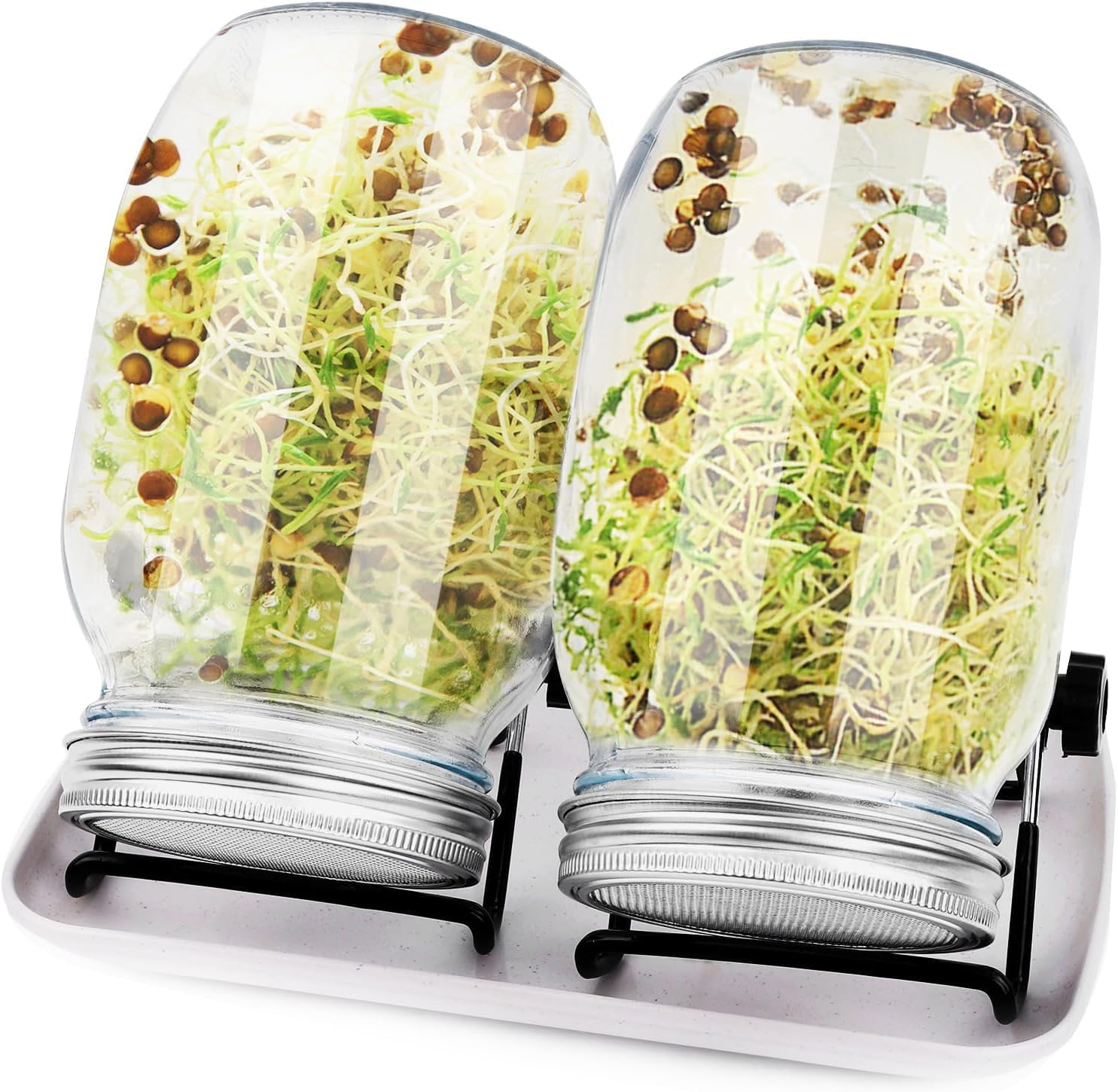 2Pcs Sprouting Jar Kit &ndash; Wide Mouth Mason Jars with Stainless Steel Lids, Stand & Tray | Organic Seed Sprouter for Broccoli, Alfalfa, Mung Beans | Healthy Home Growing Kit for Vegans & Gardeners image number 5