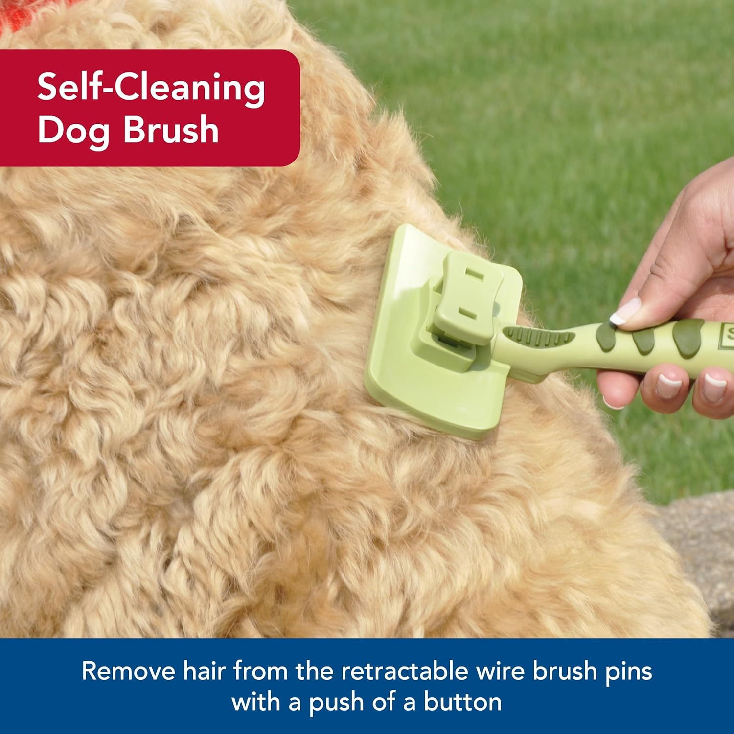 Safari Self-Cleaning Slicker Brush for Dogs (Large), Pet Supplies, Grooming Tools, Accessories, Brushes for Shedding image number 3