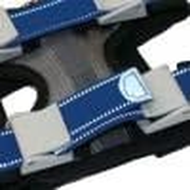 Cesar Millan Pack Leader Collar&trade; - Training Collar of the Dog Whisperer (Large, Blue) image number 1