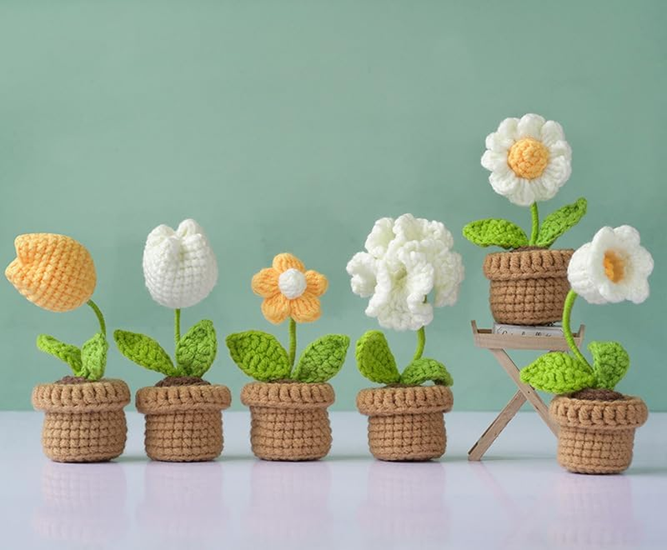 ZIENVE Crochet Kit for Beginners: Potted Plants Flowers, Easy Crocheting Starter Kit with Step-By-Step Instructions and Video Tutorials for Adults