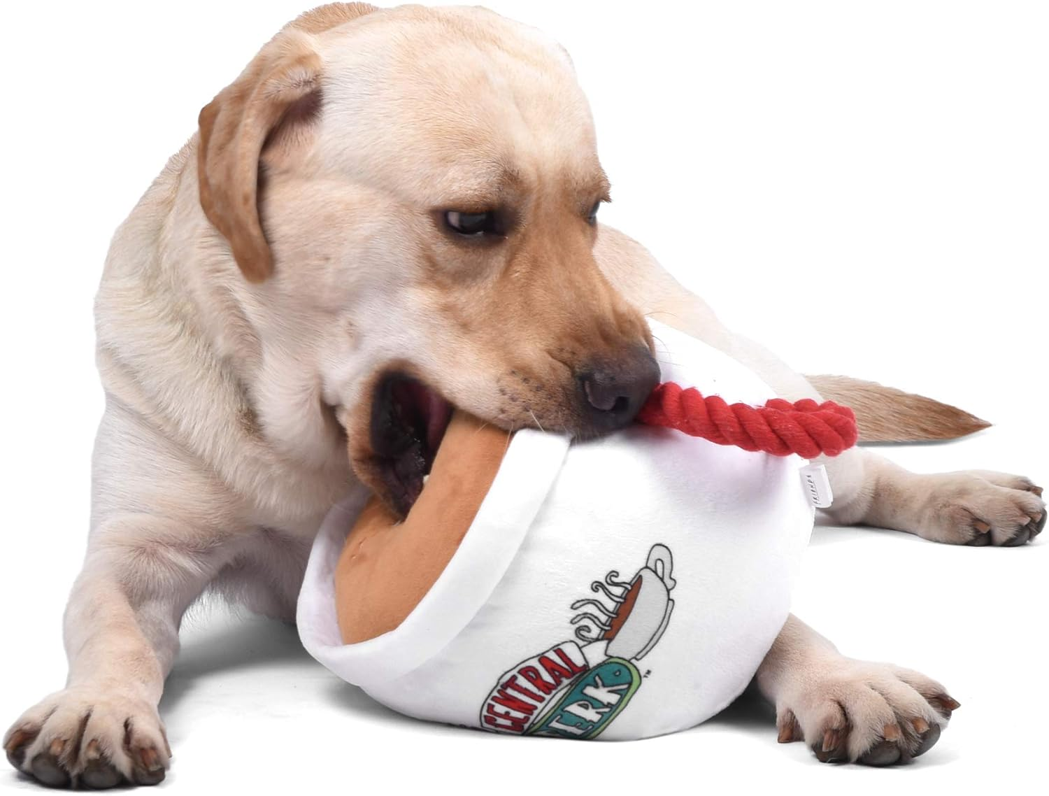 Warner Brothers for Pets Friends TV Show Central Perk Coffee Mug Plush Dog Toy with Rope Handle | 12-Inch Cute Squeaky Toy for All Dogs | Stuffed Dog Toys with Squeaker, Friends Memorabilia image number 4