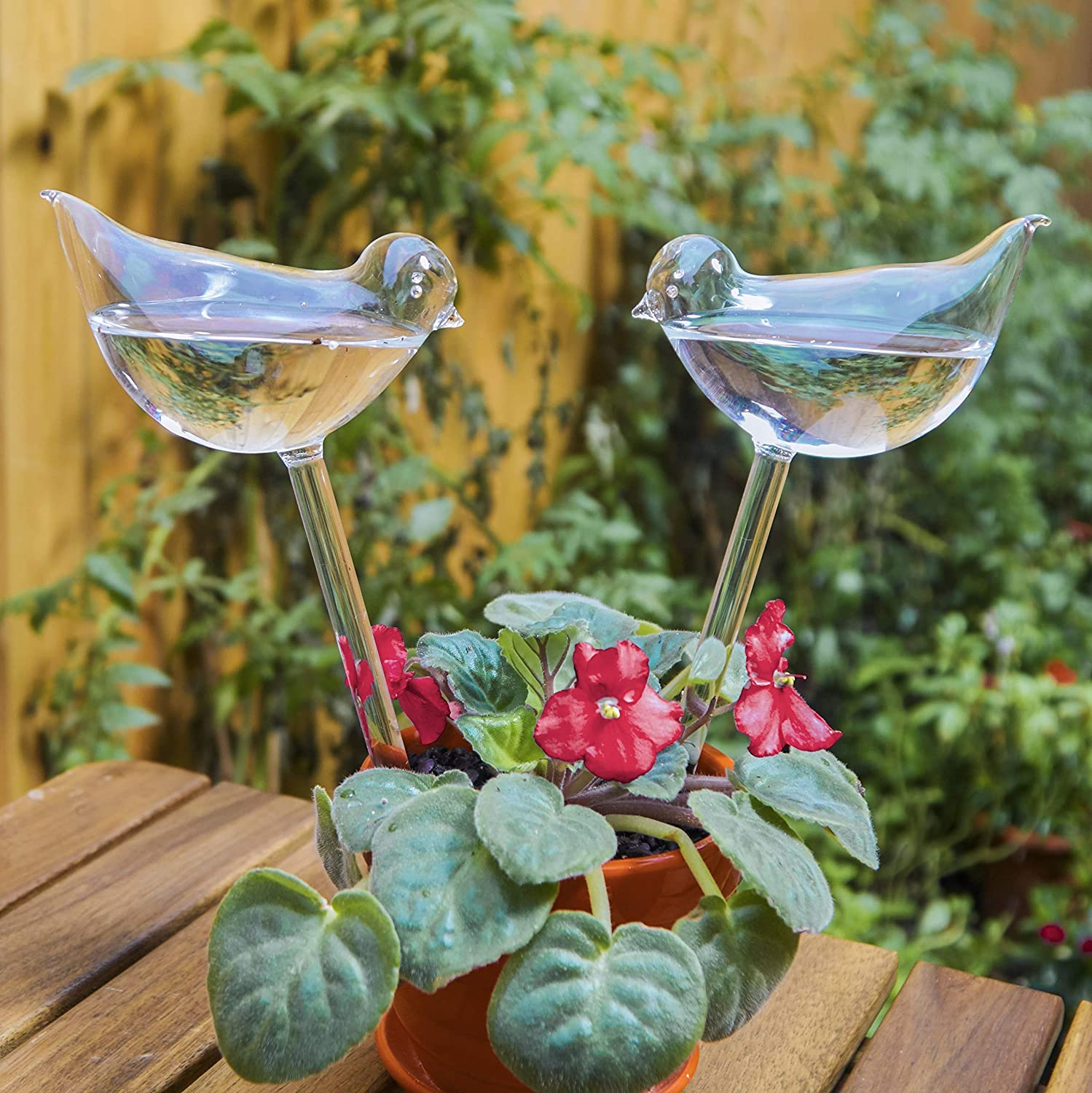 3 Pack Plant Waterer Self Watering Globes,Bird Shape Hand Blown Mini Durable Clear Glass Aqua Bulbs for Indoor Plants, Gifts for Plant Lovers image number 2
