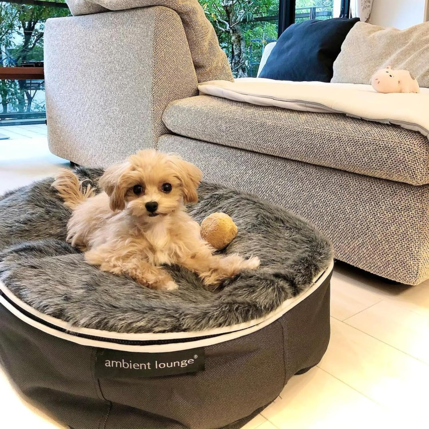 [Ambient Lounge Japan] Amazon Limited Pet Lounge, Wolf Gray, Washable, Dog, Cat, Bed, Luxury, S Size (Genuine Japanese Product, Made in Japan) Basic image number 3