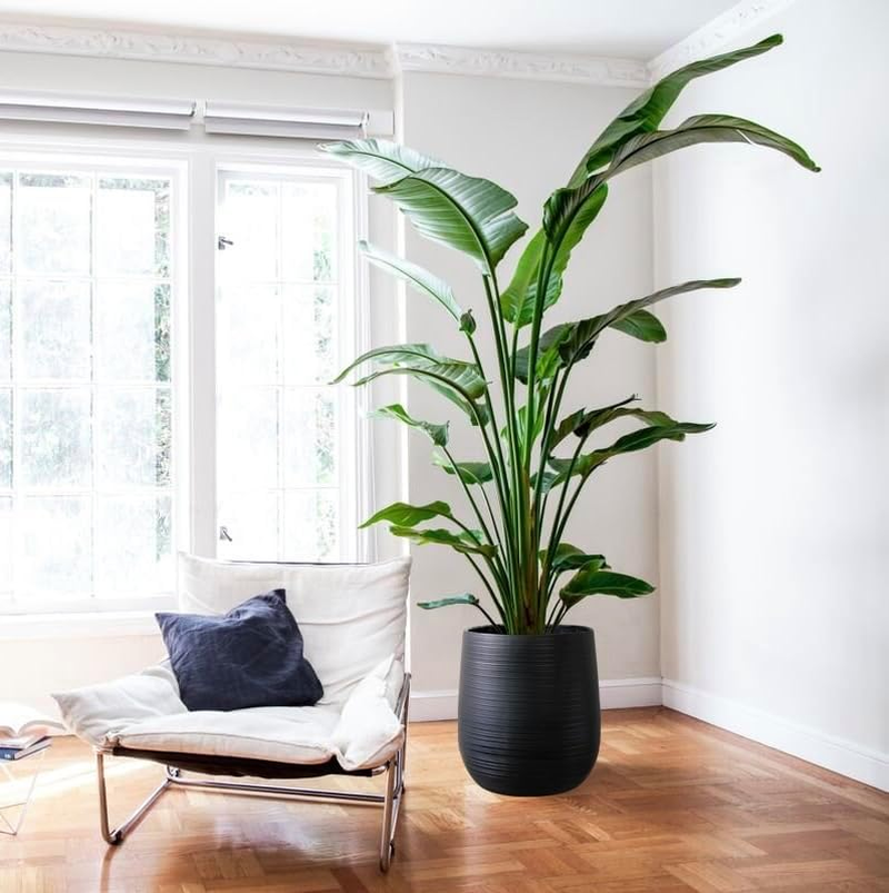 Olly & Rose Charcoal Black Home Decor Patterned Ceramic Plant Pot - XL Indoor and Outdoor Garden Planter - Decorative Flower Pots (H 50Cm D 45Cm) image number 1