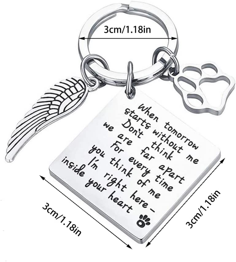 Pet Memorial Gift Loss of Dog Keychain Sympathy Loss of Cat Gift Pet Loss Keyring in Memory of Dog Pet Sympathy Cat Lover Family Friends Remembrance Gifts (Memorial A) image number 2