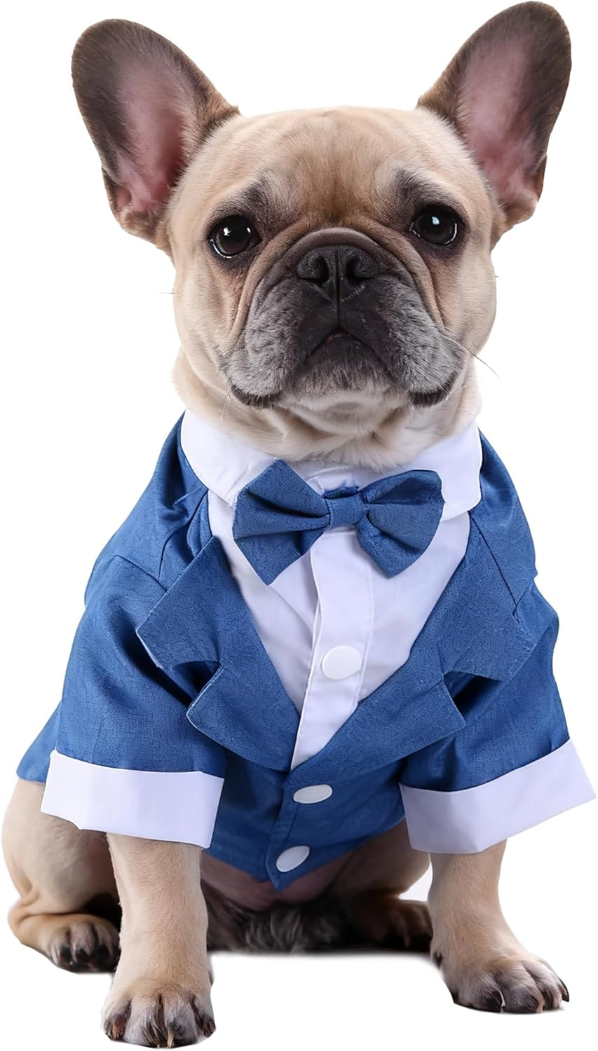 Black, White, Blue Dog Shirts for Wedding, Puppy Tuxedo, Dog Formal Wear, Doggie Tux, Suit and Tie Costume Blue Medium image number 4