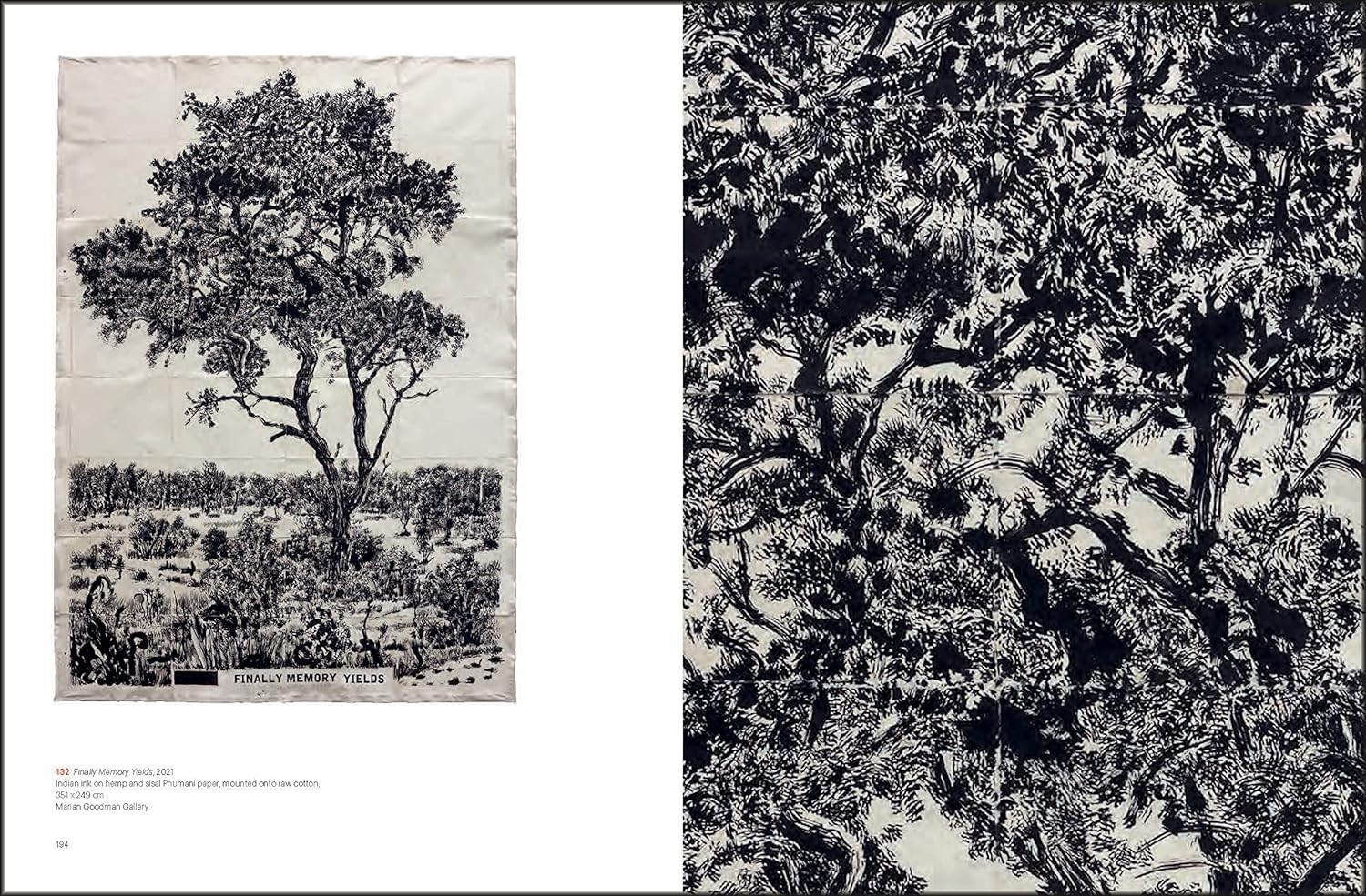 William Kentridge image number 1