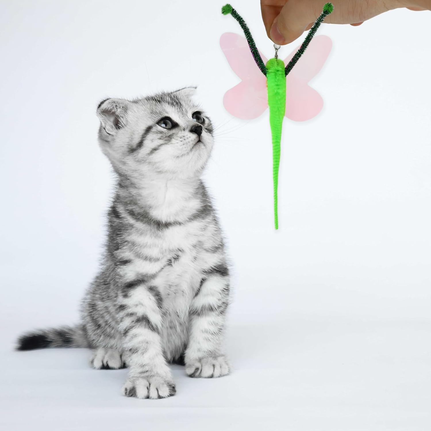 CAPASTEC Pack of 2 Cat Wand Replacement for Pet Interactive, Green, Caterpillars image number 3