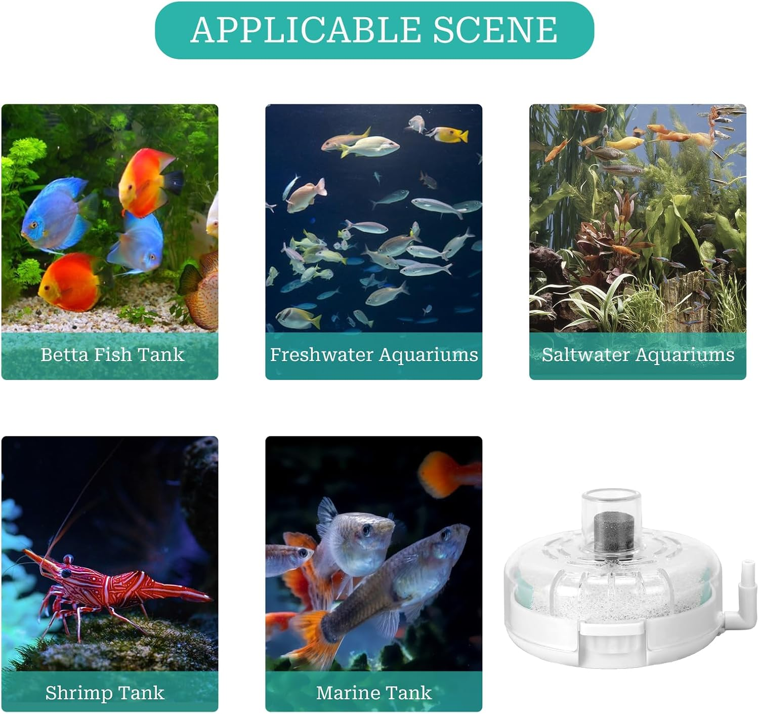 KALIONE Small Aquarium Filter, Mini Aquarium Sponge Filter, Small Filter for Fish Tank, Transparent Turtle Tank Filter, Small Fish Tank Water Filter for 2-6 Gallon Aquarium Betta Fish Tank image number 2