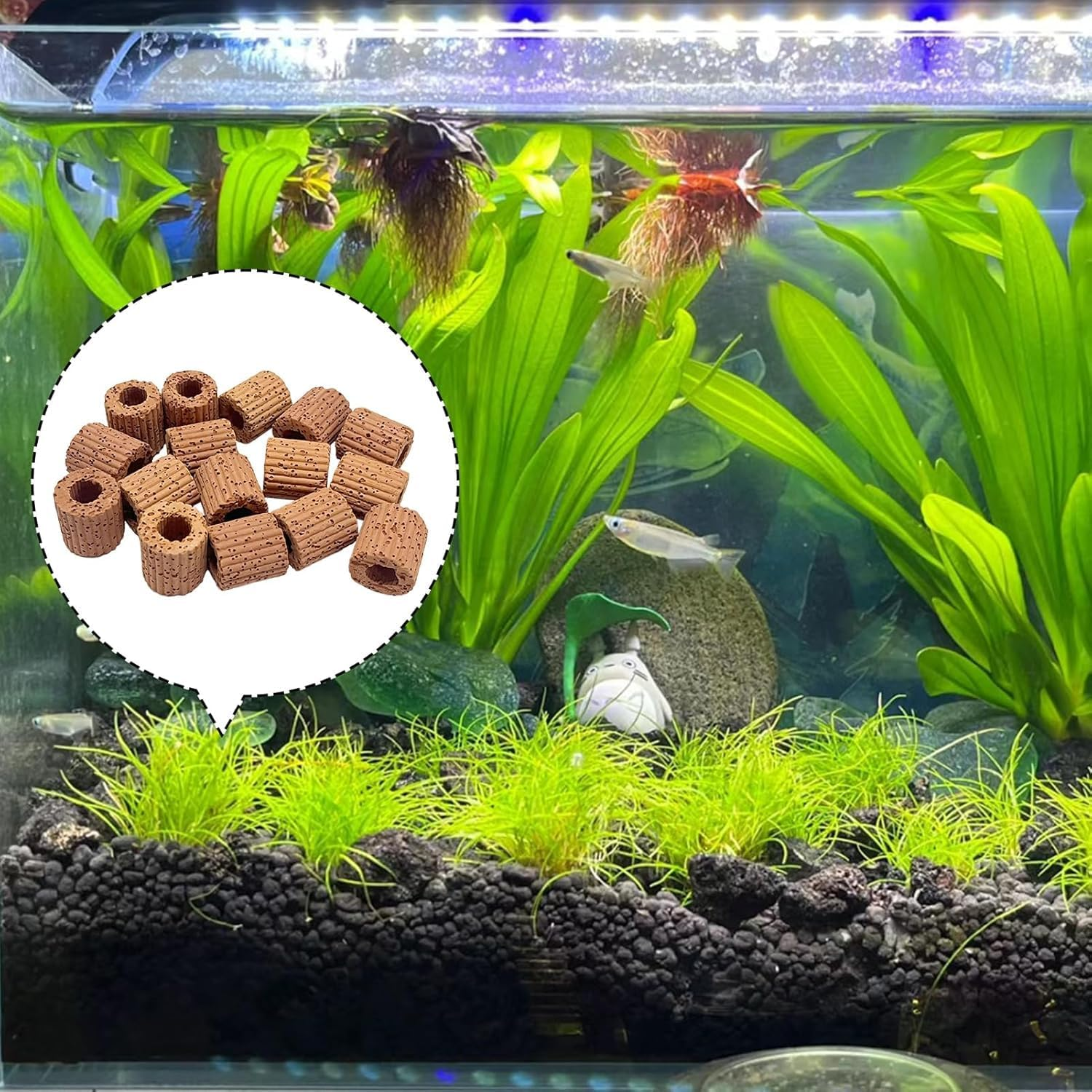 20 Pcs Aquarium Plant Holder Fish Tank Fixed Ring, 25Mm Fixed Ring Durable Practical Pottery Water Plant Holder Gravity Ring Fixed Ring Decor for Aquarium Pond Decor image number 6