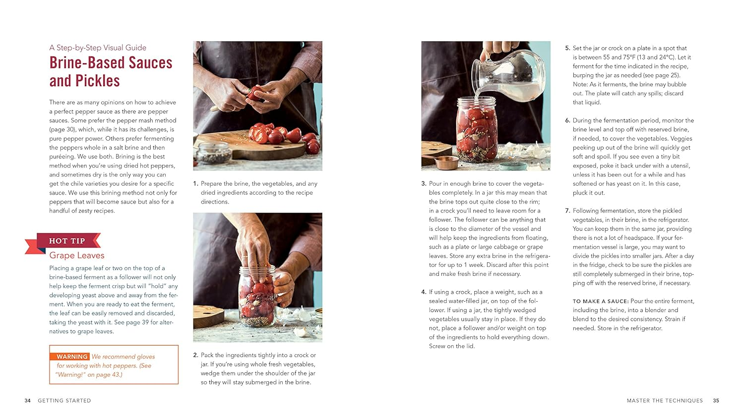 Fiery Ferments: 70 Stimulating Recipes for Hot Sauces, Spicy Chutneys, Kimchis with Kick, and Other Blazing Fermented Condiments image number 1