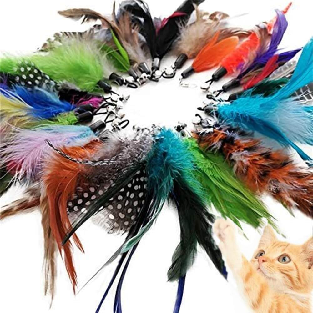 Feather Teaser Cat Toy Set 20 Pcs, Interactive Toys for Cats Replacement Feather Teaser with Bell for Kitten Cat Catcher Having Fun Exercise Playing image number 6