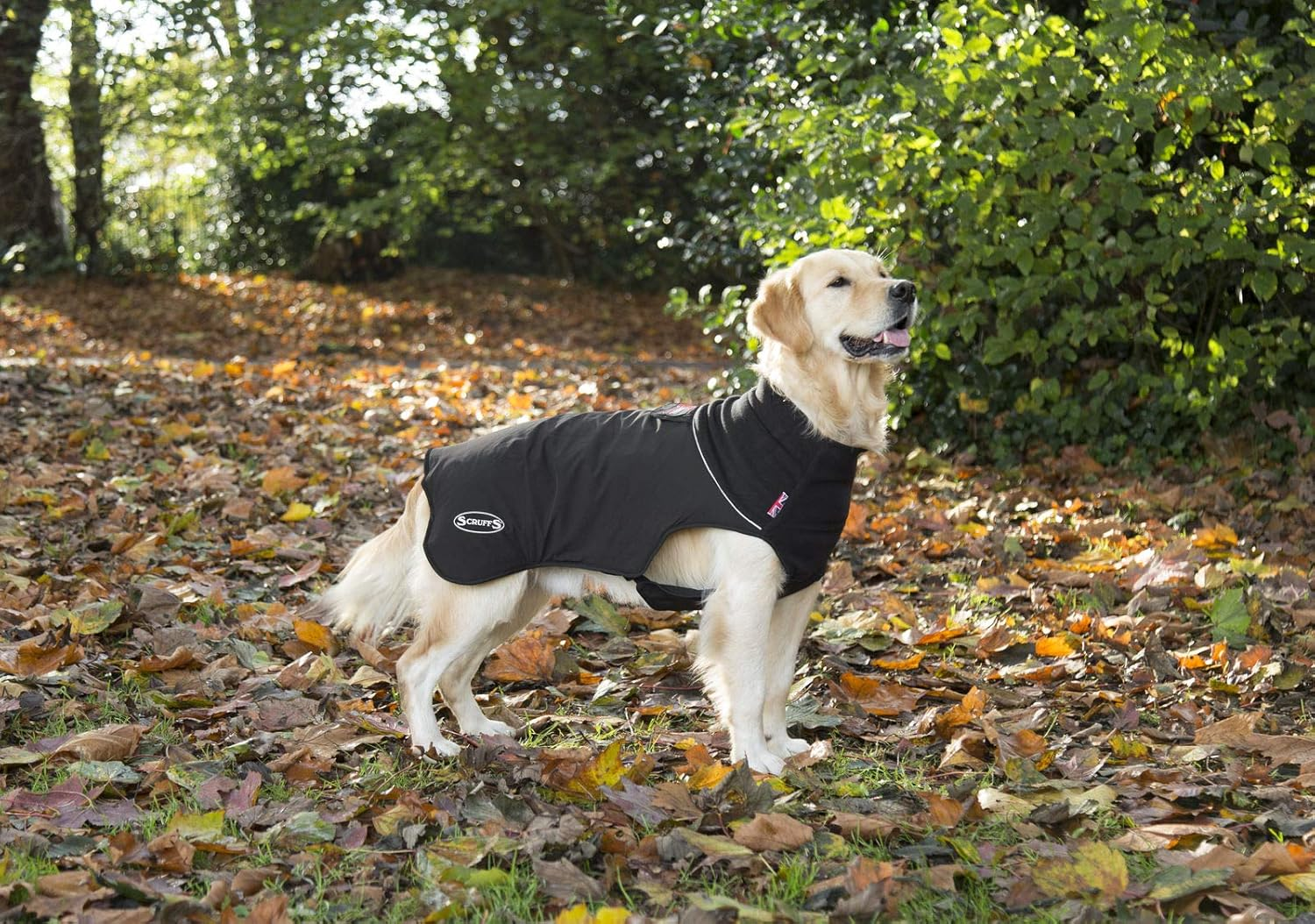 Scruffs Thermal Dog Coat, Black, 30Cm - Cajun Grey image number 2