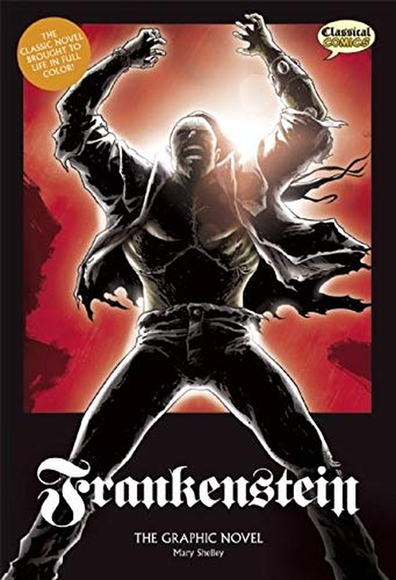 Frankenstein the Graphic Novel: Original Text image number 1