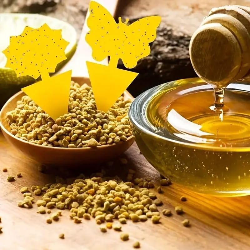 Sticky Insect Traps 40 Pcs - Gnats Fruit Fly Traps for Indoors House - Yellow Double-Sided Sticky Insect Catchers Fungus, Fruit Flies, Whiteflies, Aphids, Leaf Miners image number 6