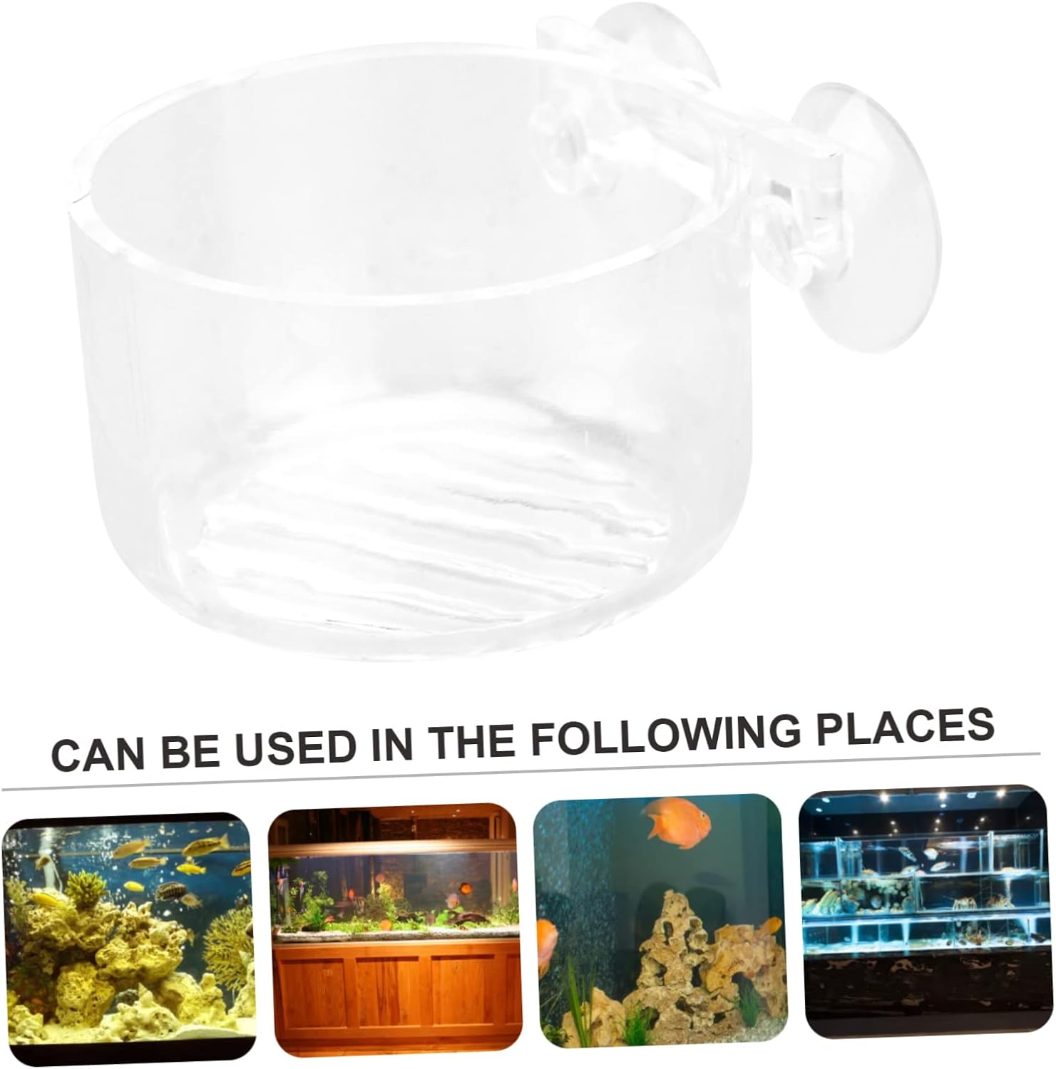 FRCOLOR 2Pcs Acrylic Fish Feeder Cup Floating Aquarium Feeder Red Worms Food Holder Feeding Ring Aquatic Supplies Automatic PET Fish Tank image number 5