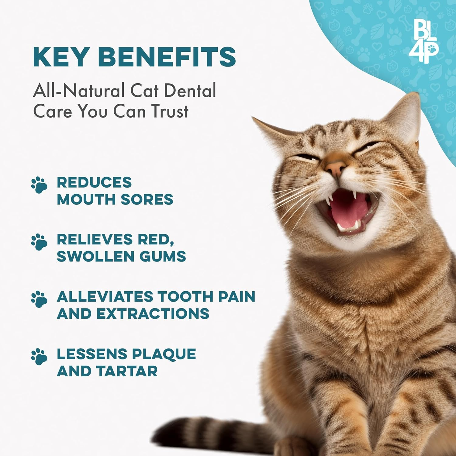 Cat Dental Care & Bad Breath Remedy, Natural Oral Health for Cats Teeth, Mouth, Gums, Daily Cat Breath Freshener, Plaque and Tartar Control Help Gingivitis and Stomatitis, Easy to Use 400 Tiny Pills image number 1