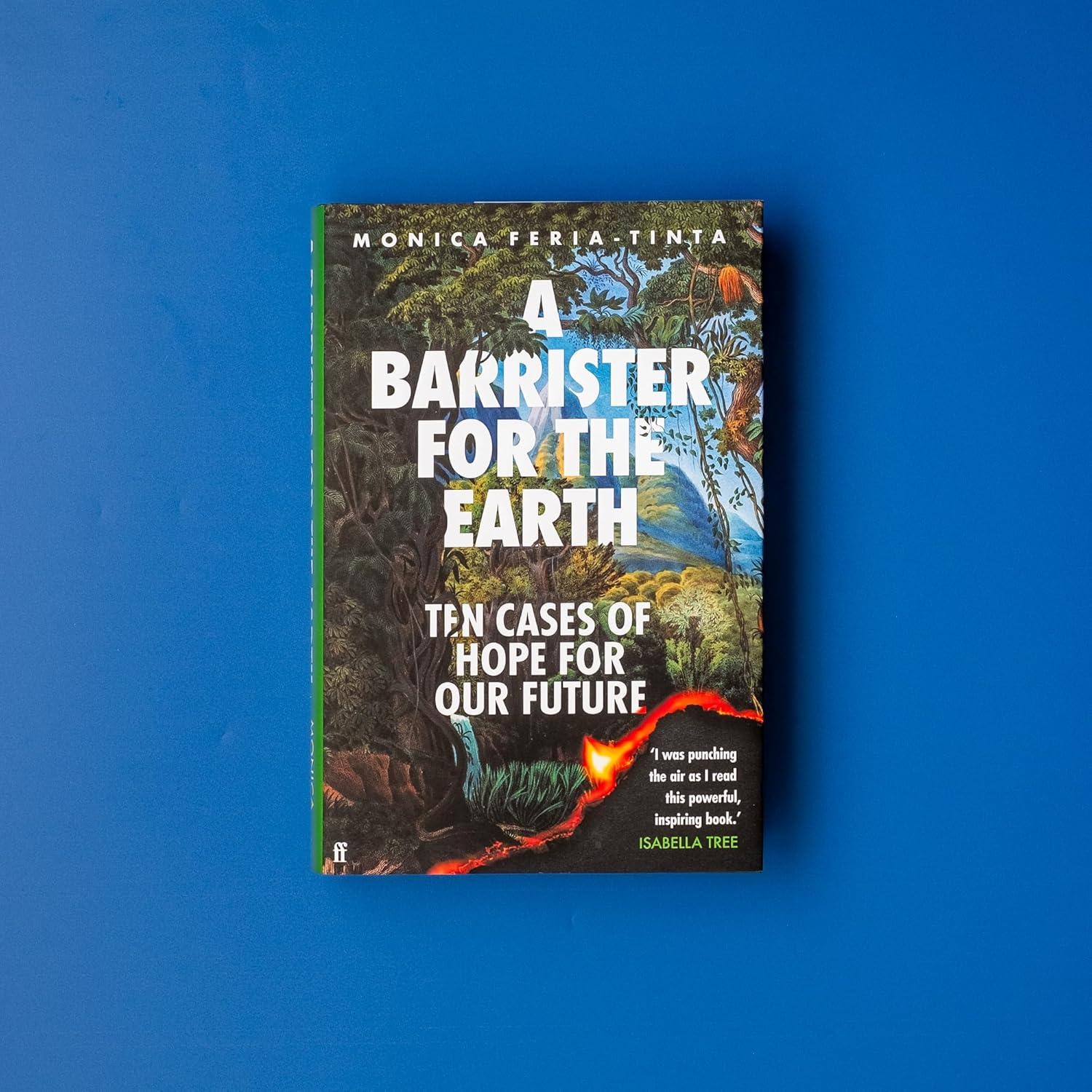 A Barrister for the Earth: Ten Cases of Hope for Our Future image number 1