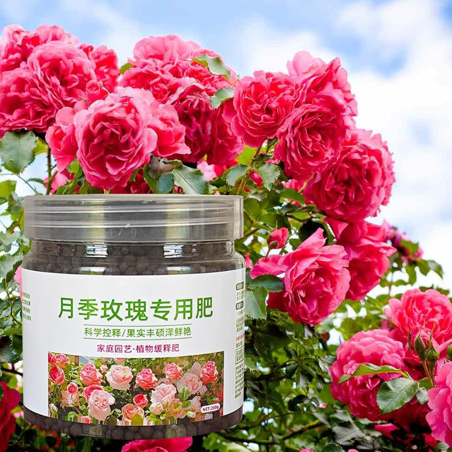 Fertilizer for Roses, 200G Balanced Nutritional Scientifical Formula Fertilizer, Coating Technology Professional Gardening Tools, Fertilizer Supplies for Garden