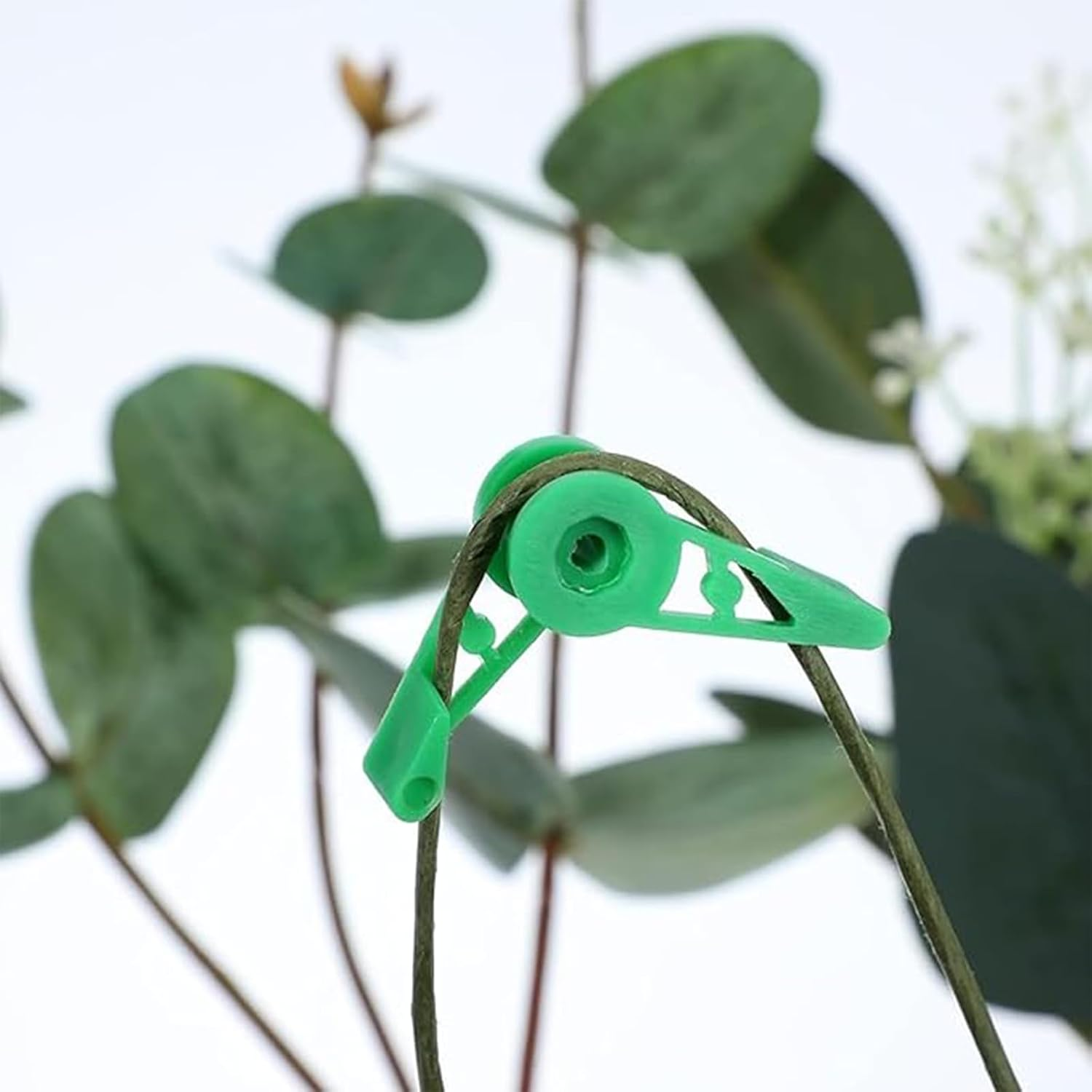 50 Pcs Low Stress Training Clips - 360&deg; Adjustable LST Plant Bender Clips for Branches & Vines, Reusable Plant Training Tools for Garden, Indoor & Outdoor Plants (Green) image number 1